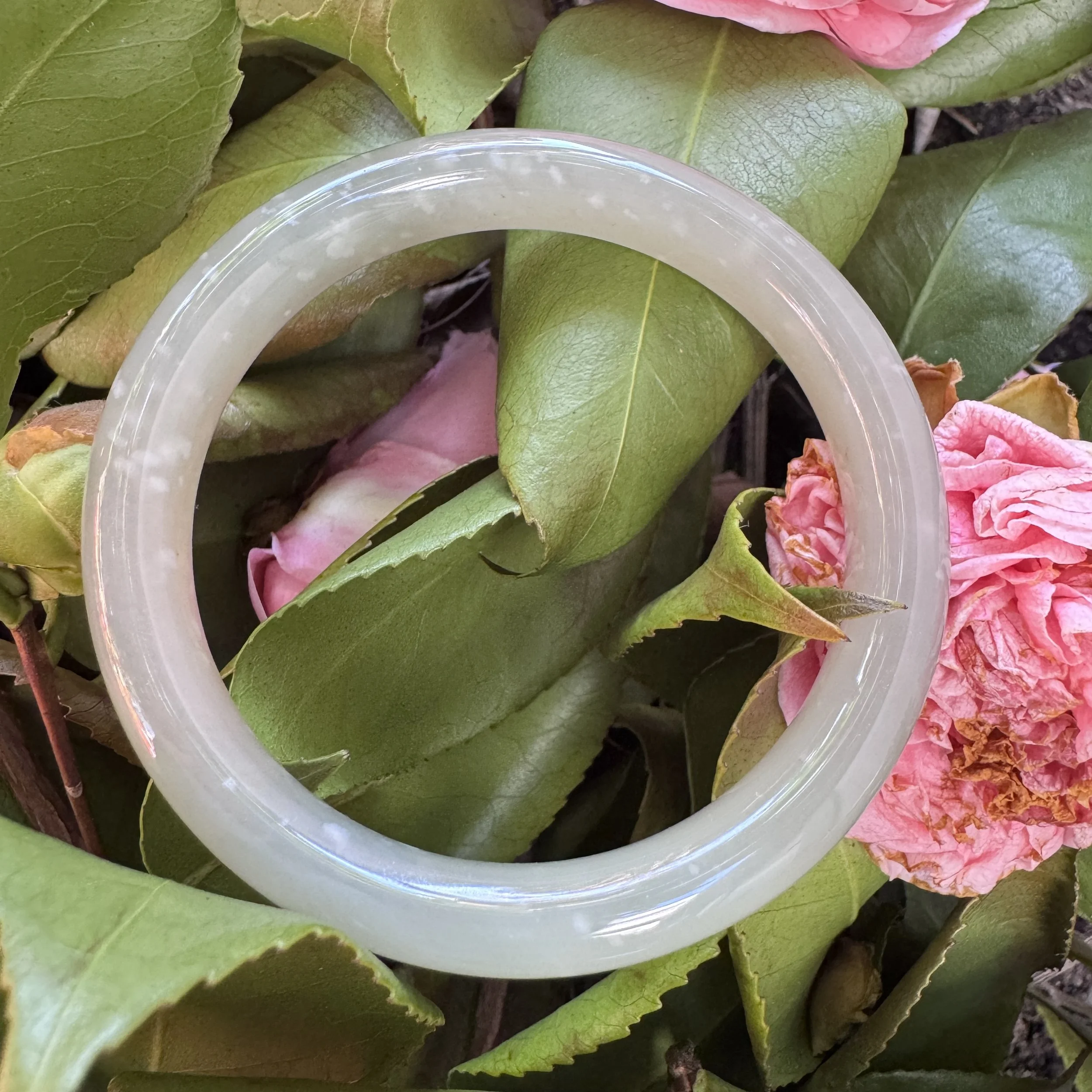 jademastervancouver.com