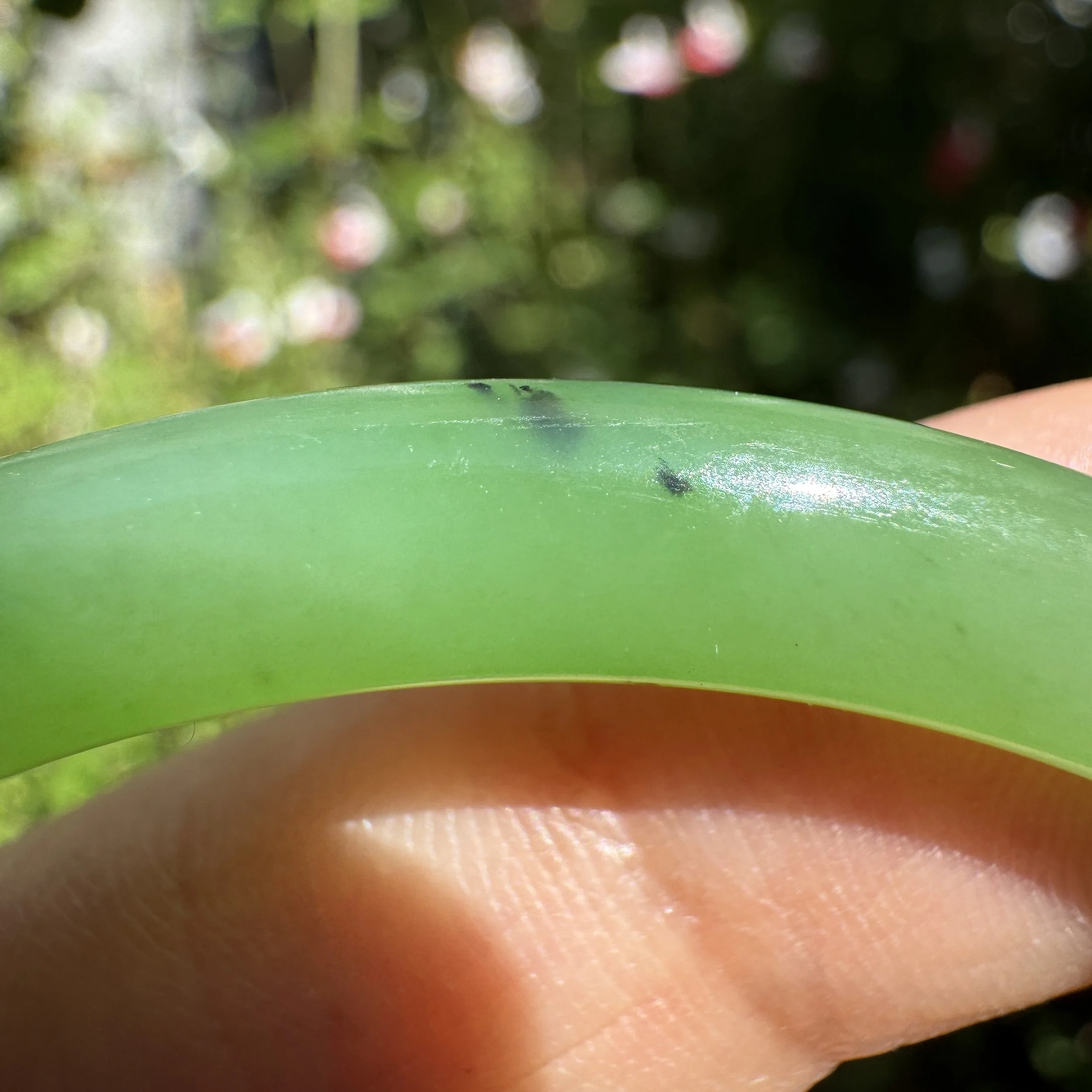 charming green of natural Hetian green nephrite jade