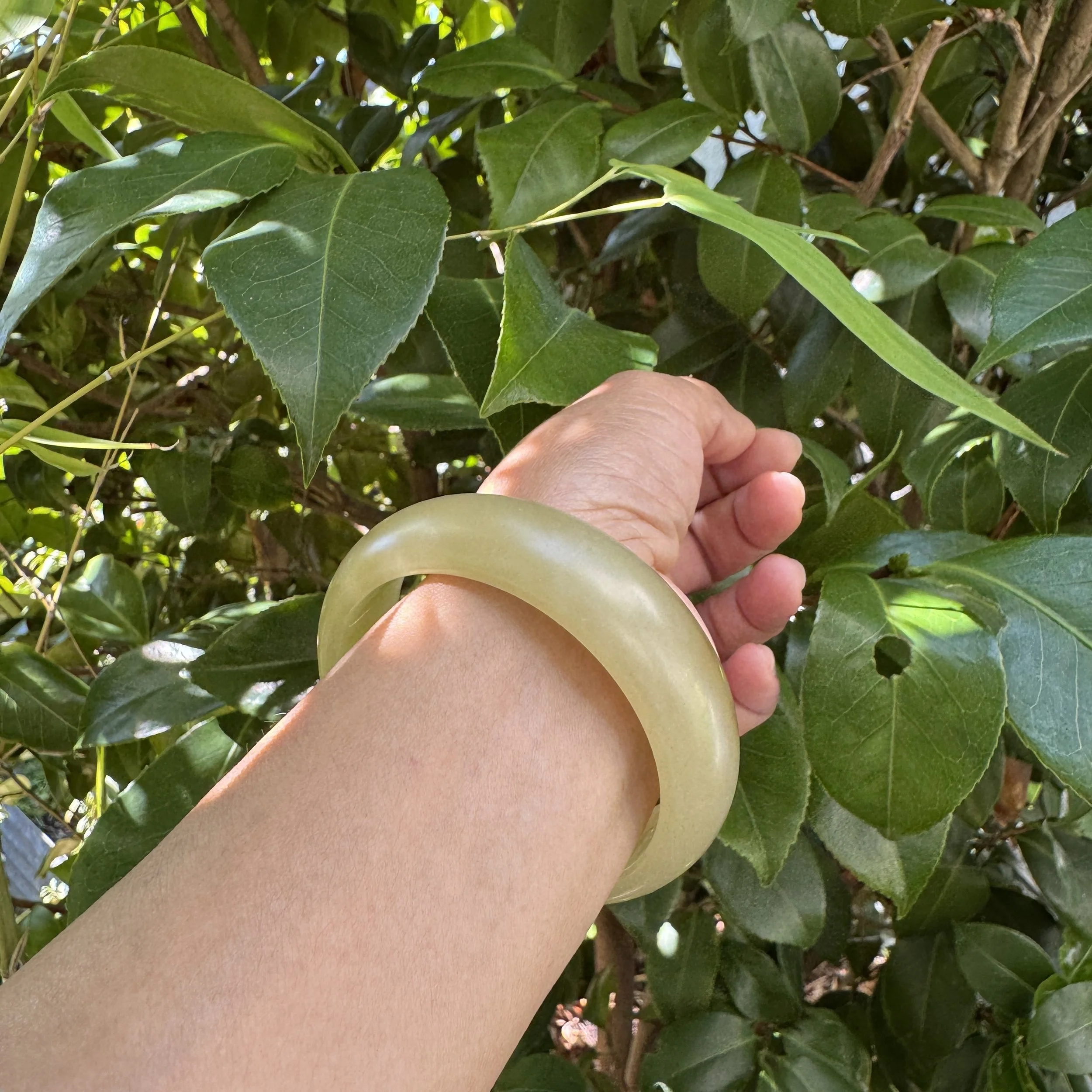 Xinjiang Hetian jade-jademastervancouver.com