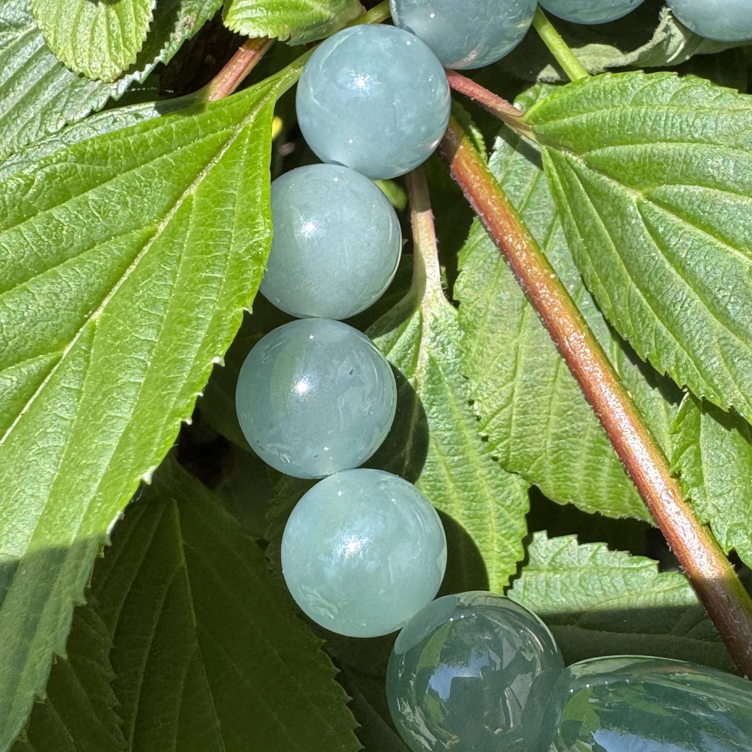 jademastervancouver.com