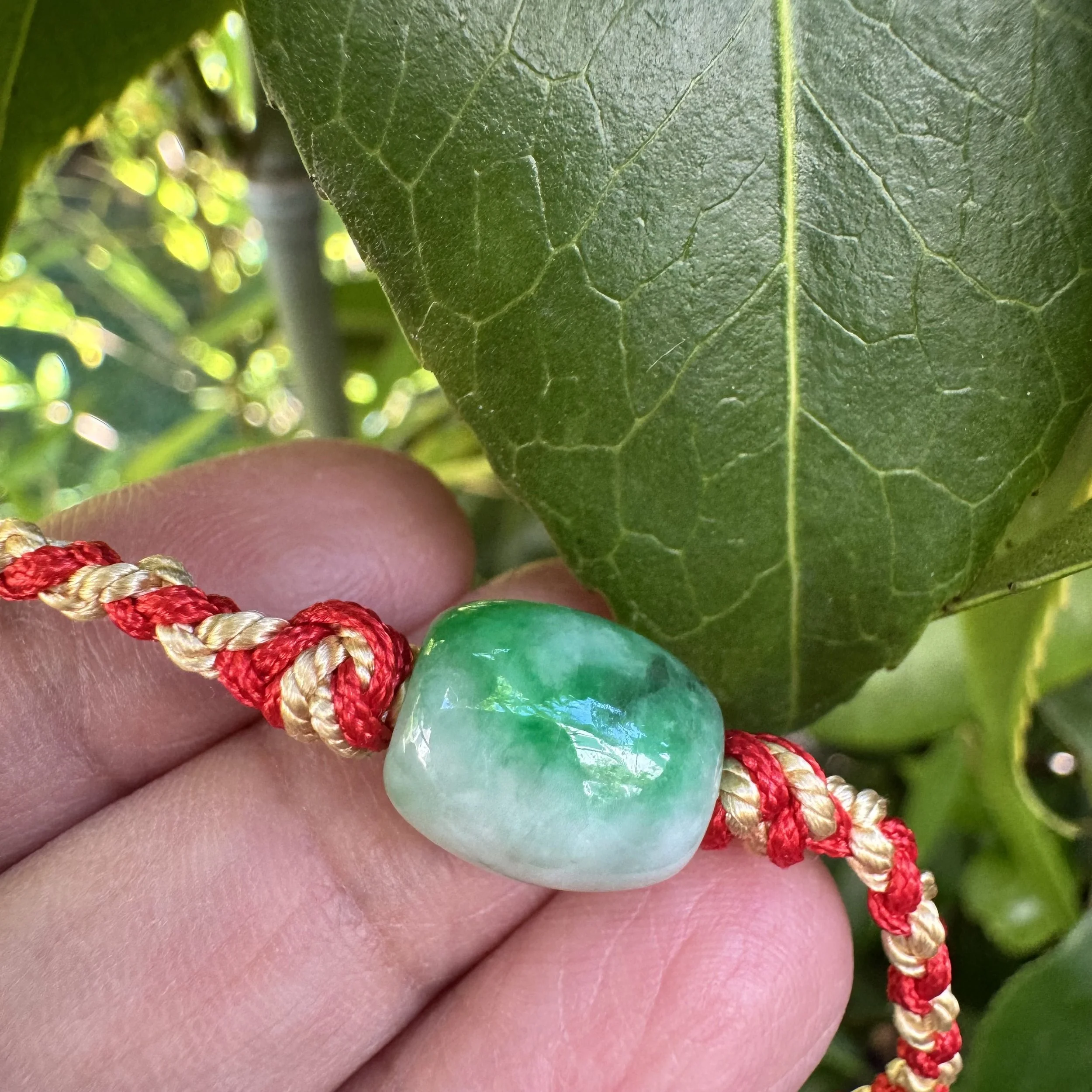 jademastervancouver.com