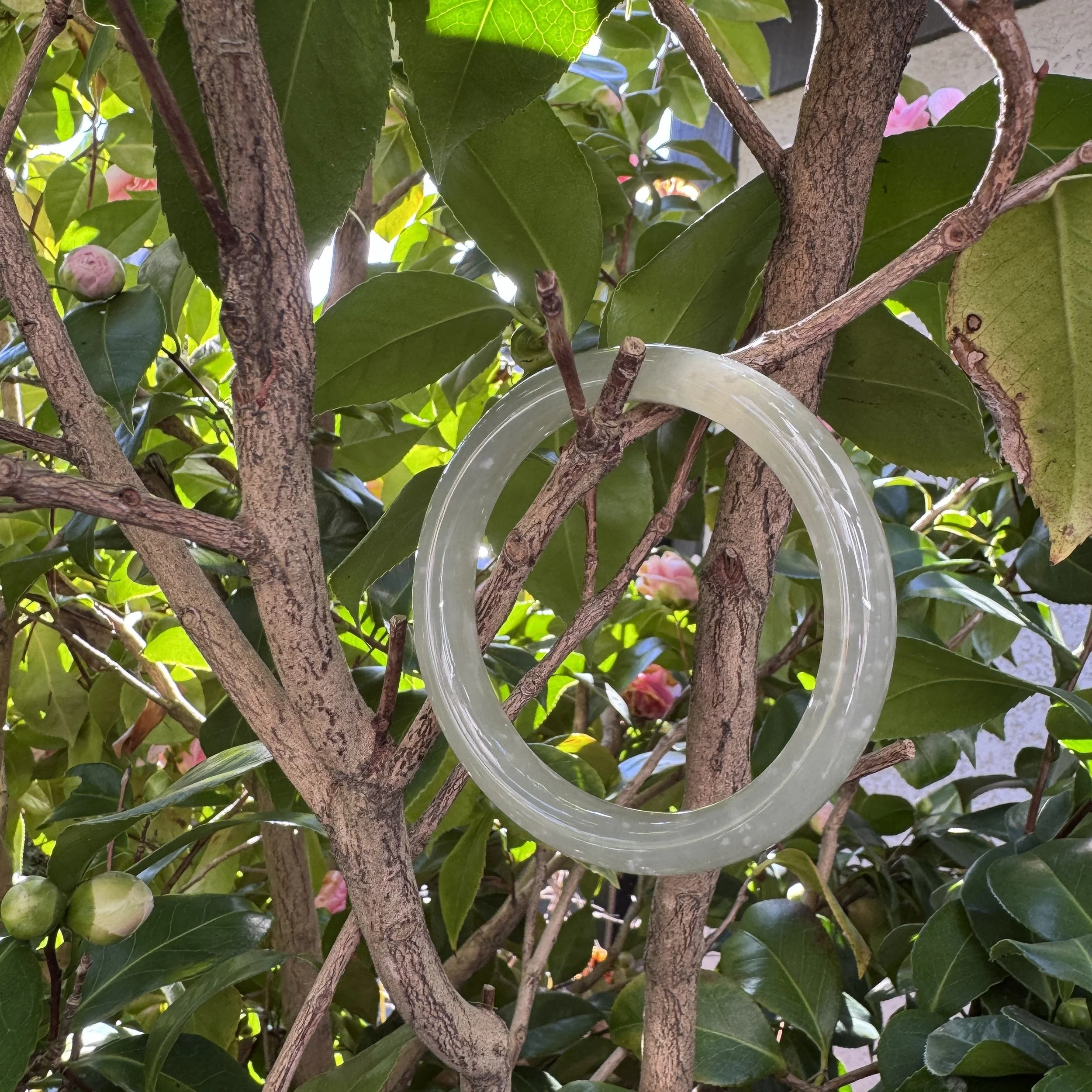 jademastervancouver.com