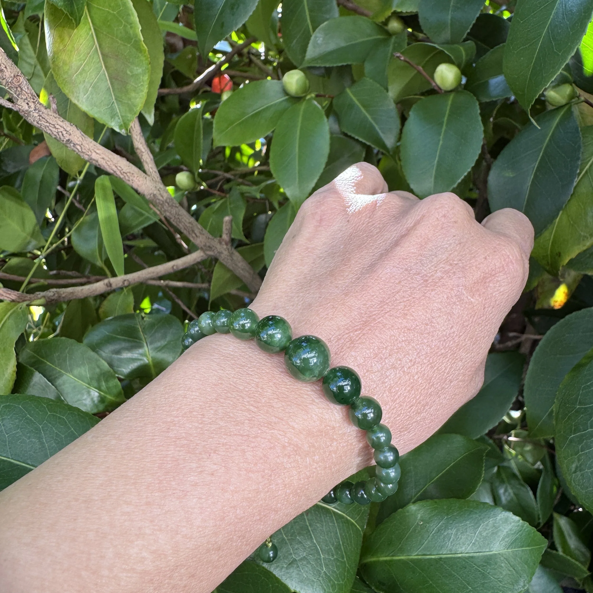 jademastervancouver.com