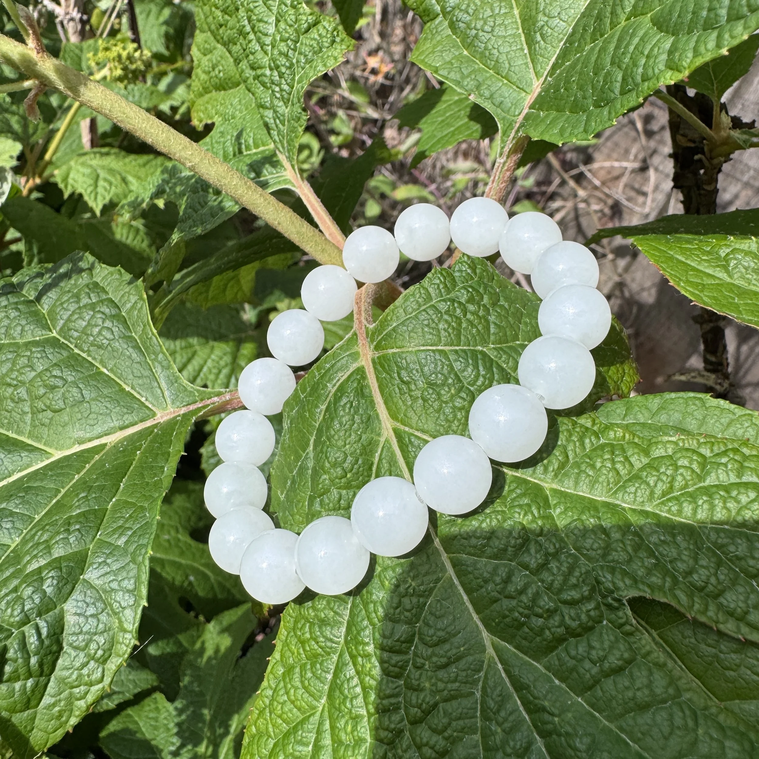mutton white fat jade-jademastervancouver.com
