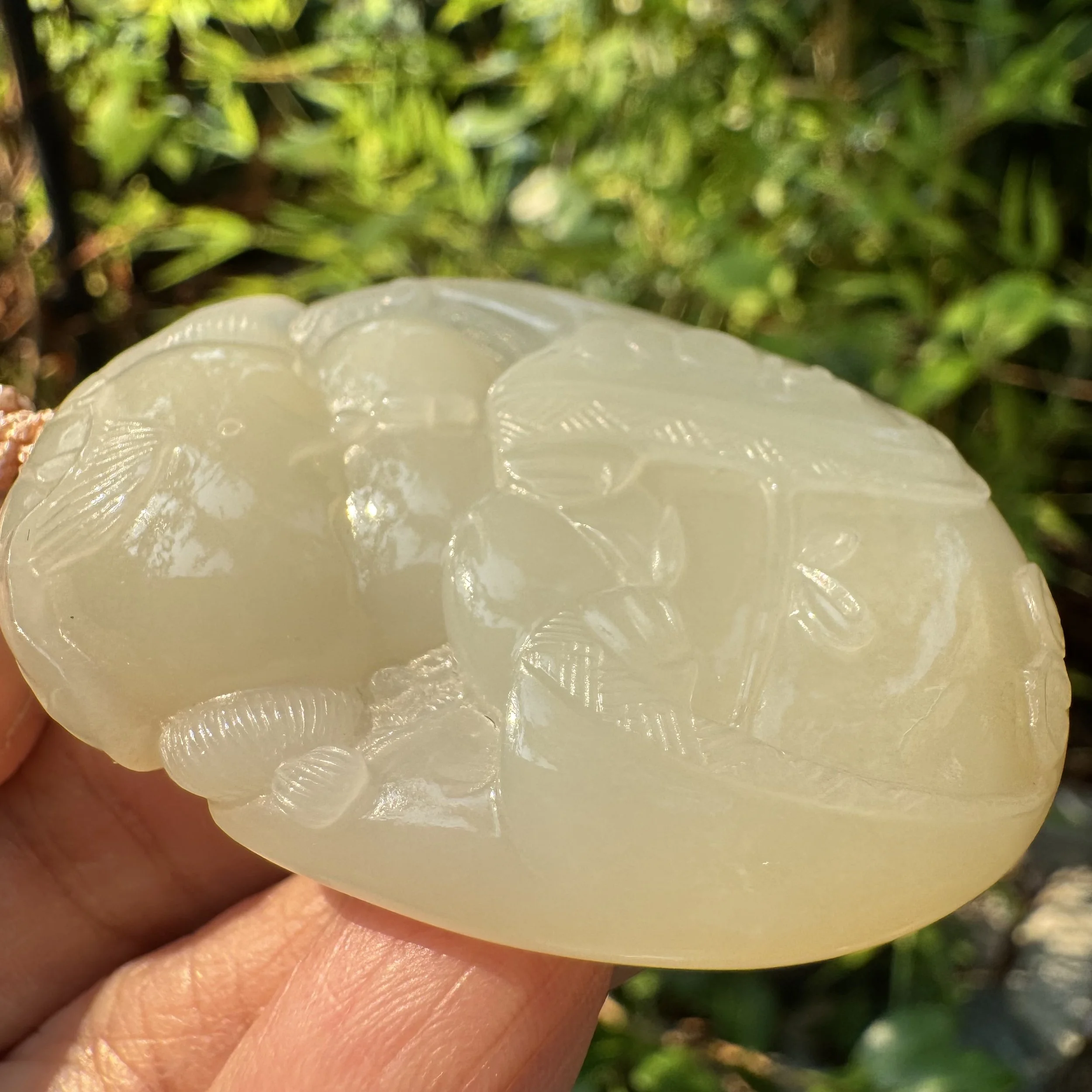 jademastervancouver.com