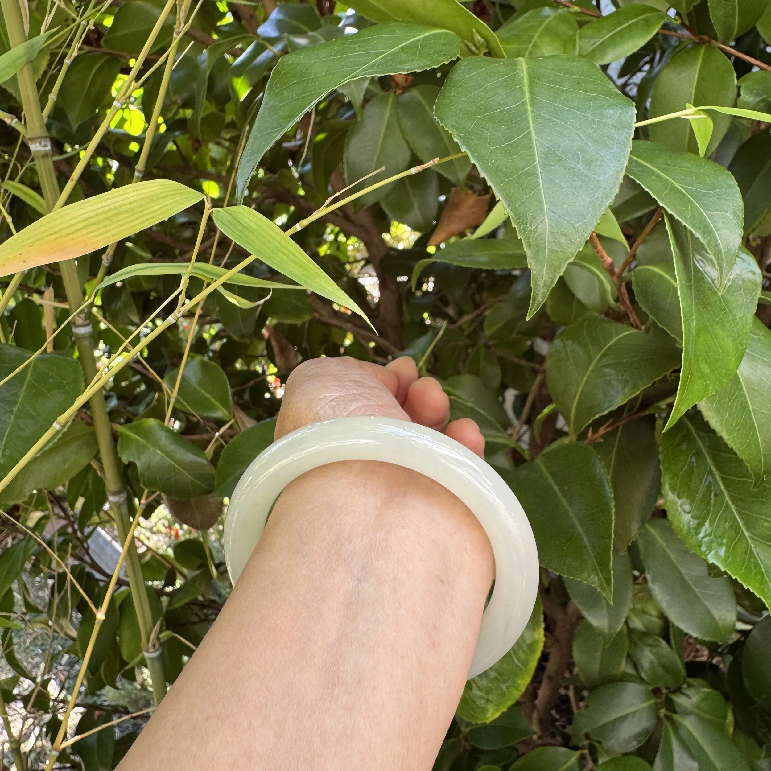 icy jade- jademastervancouver.com