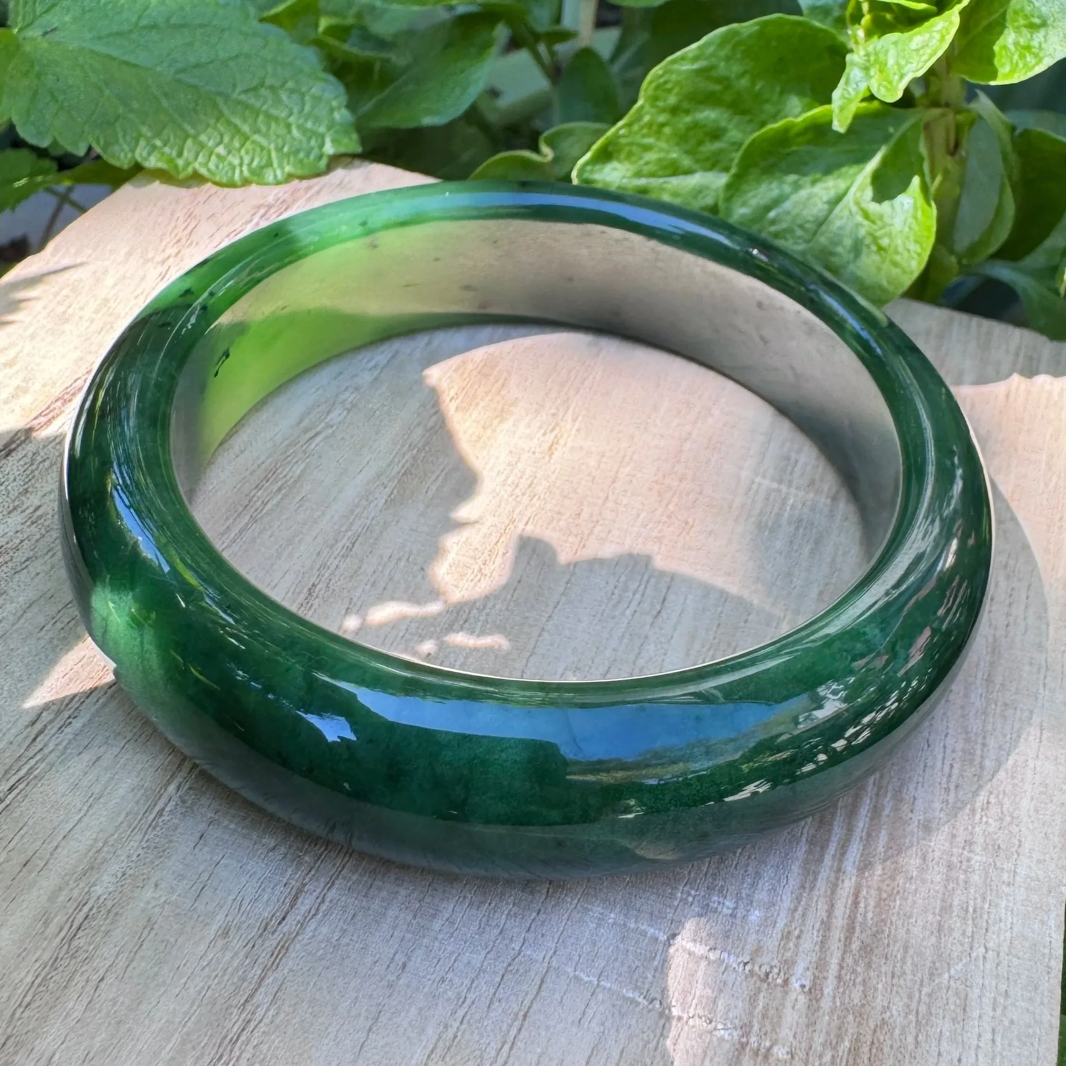 IMG_5206.jpg