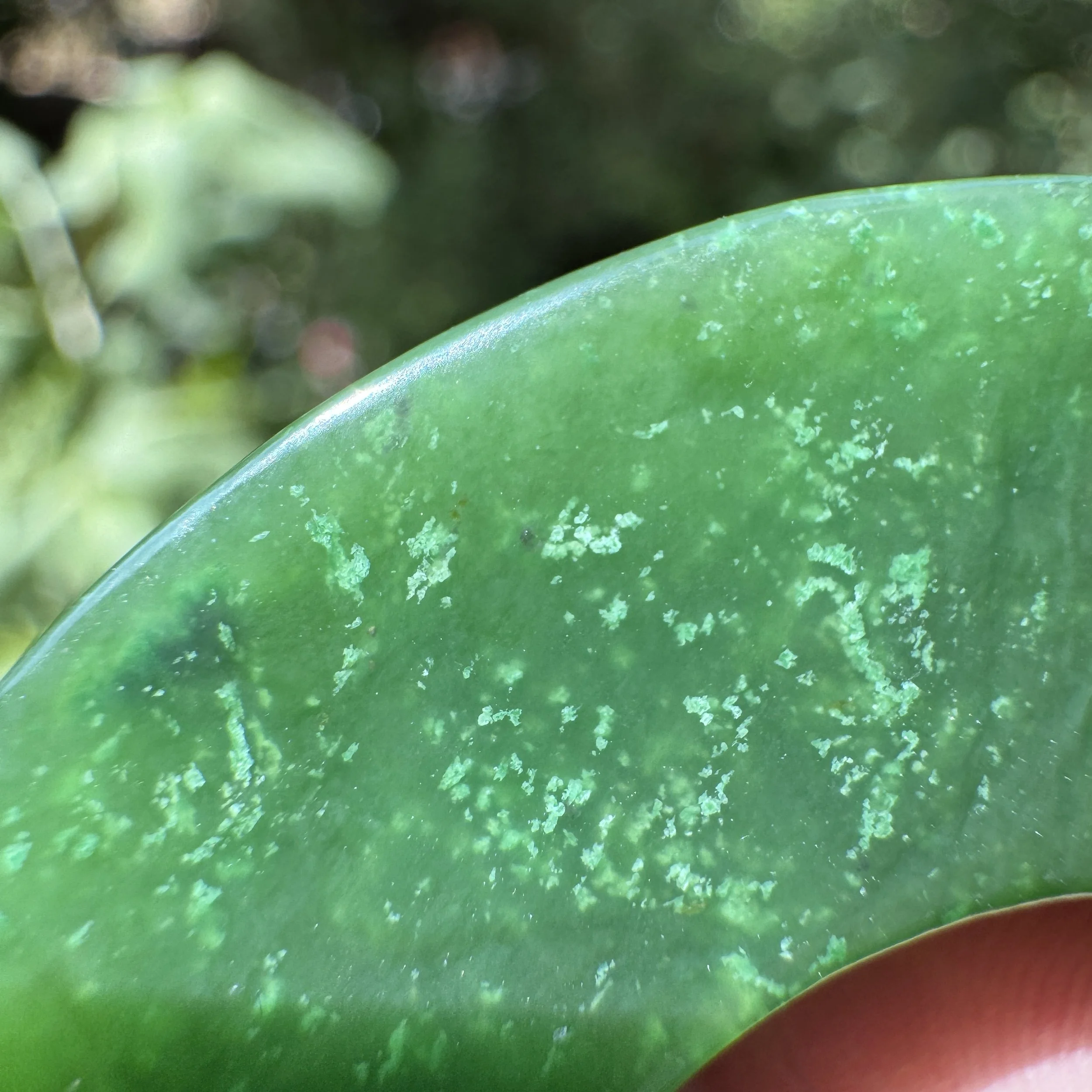 Canadian jade-jademastervancouver.com