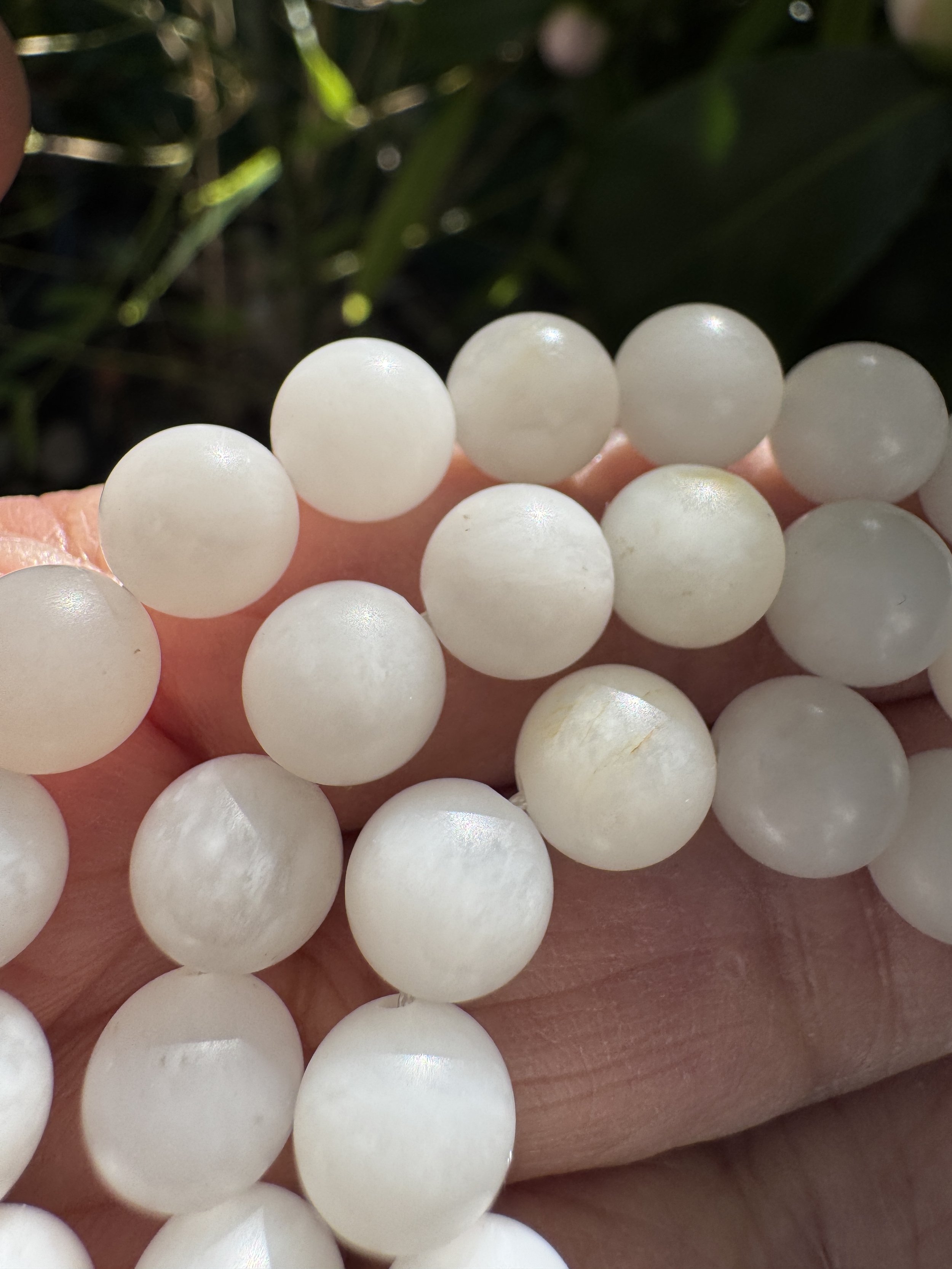 jademastervancouver.com