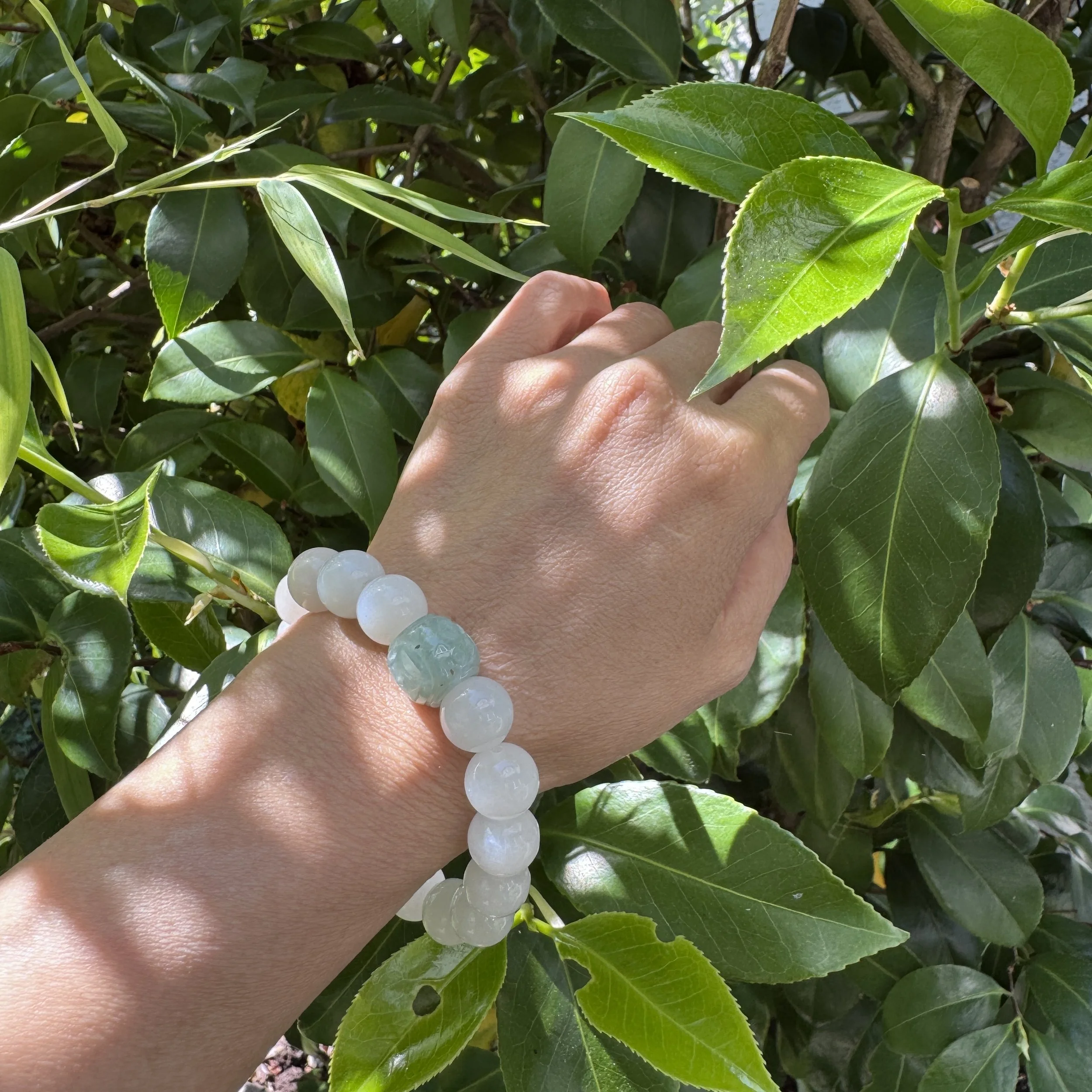 jademastervancouver.com