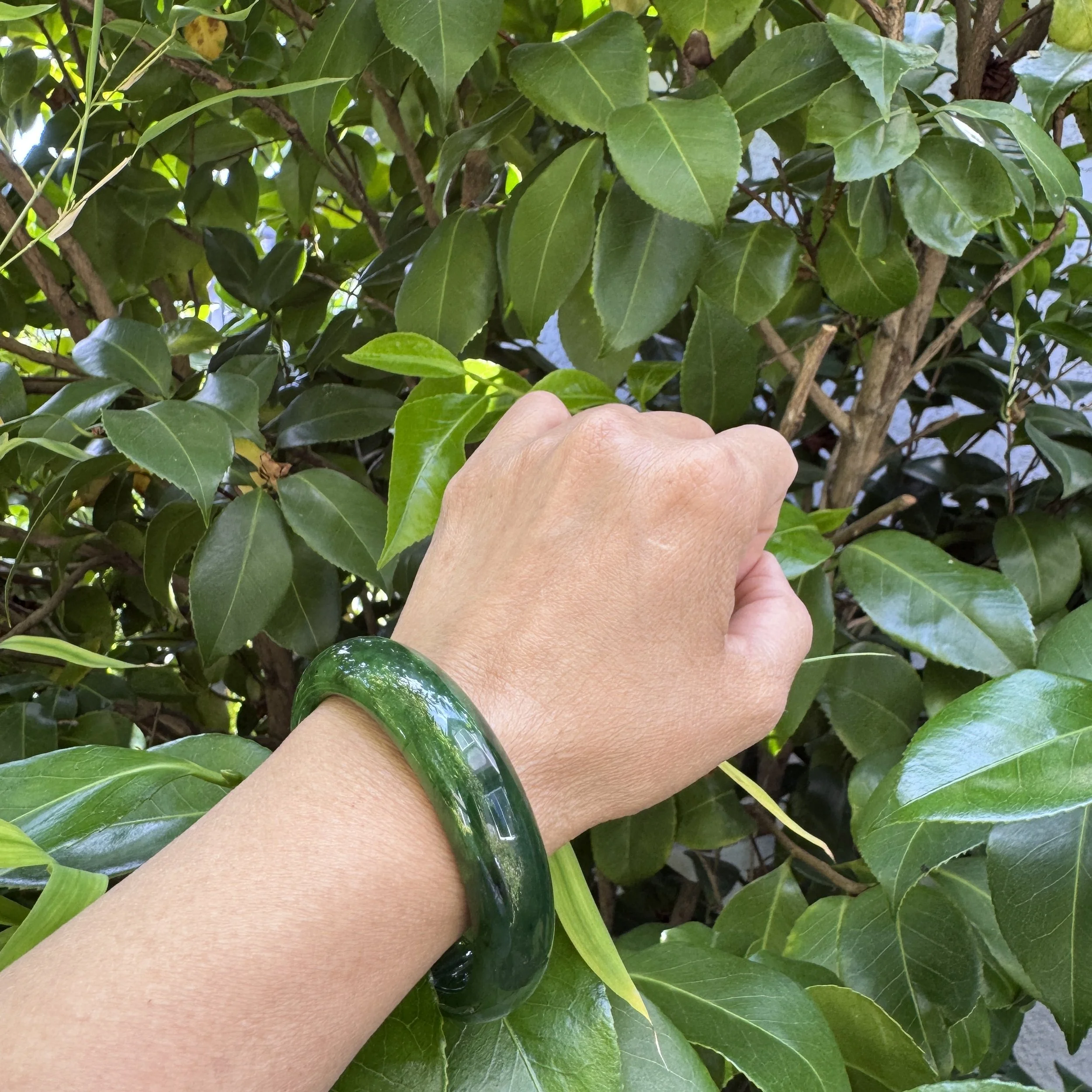 Canadian jade-jademastervancouver.com