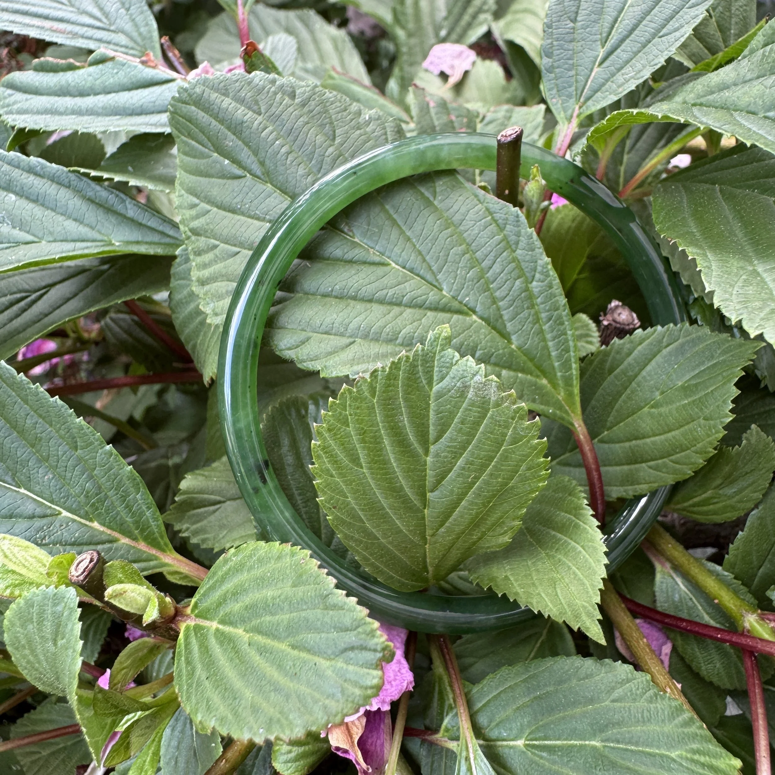 jademastervancouver.com