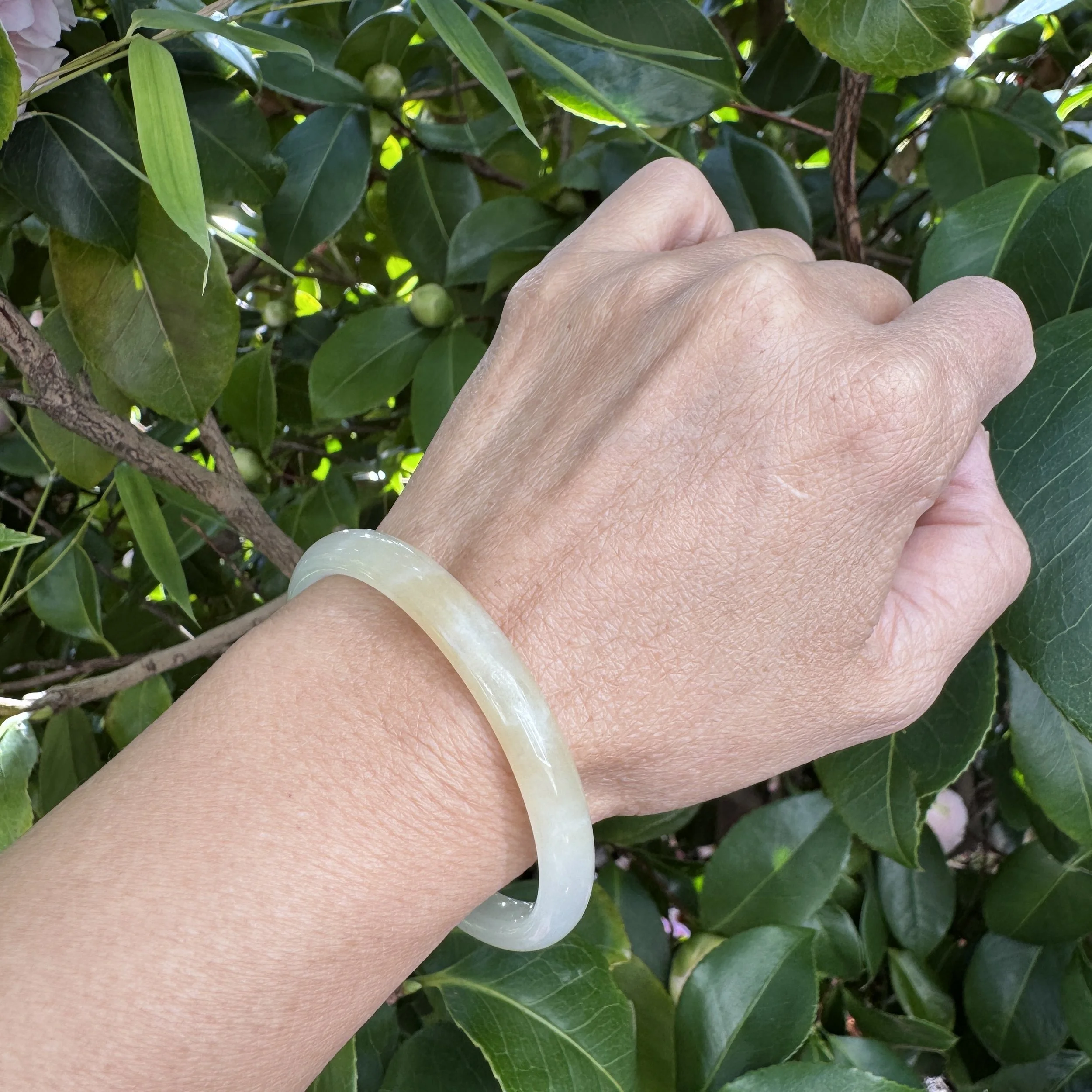 jademastervancouver.com