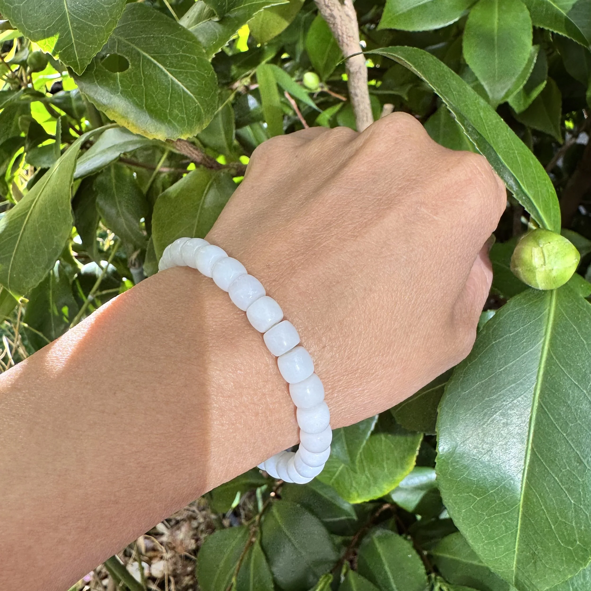 jademastervancouver.com