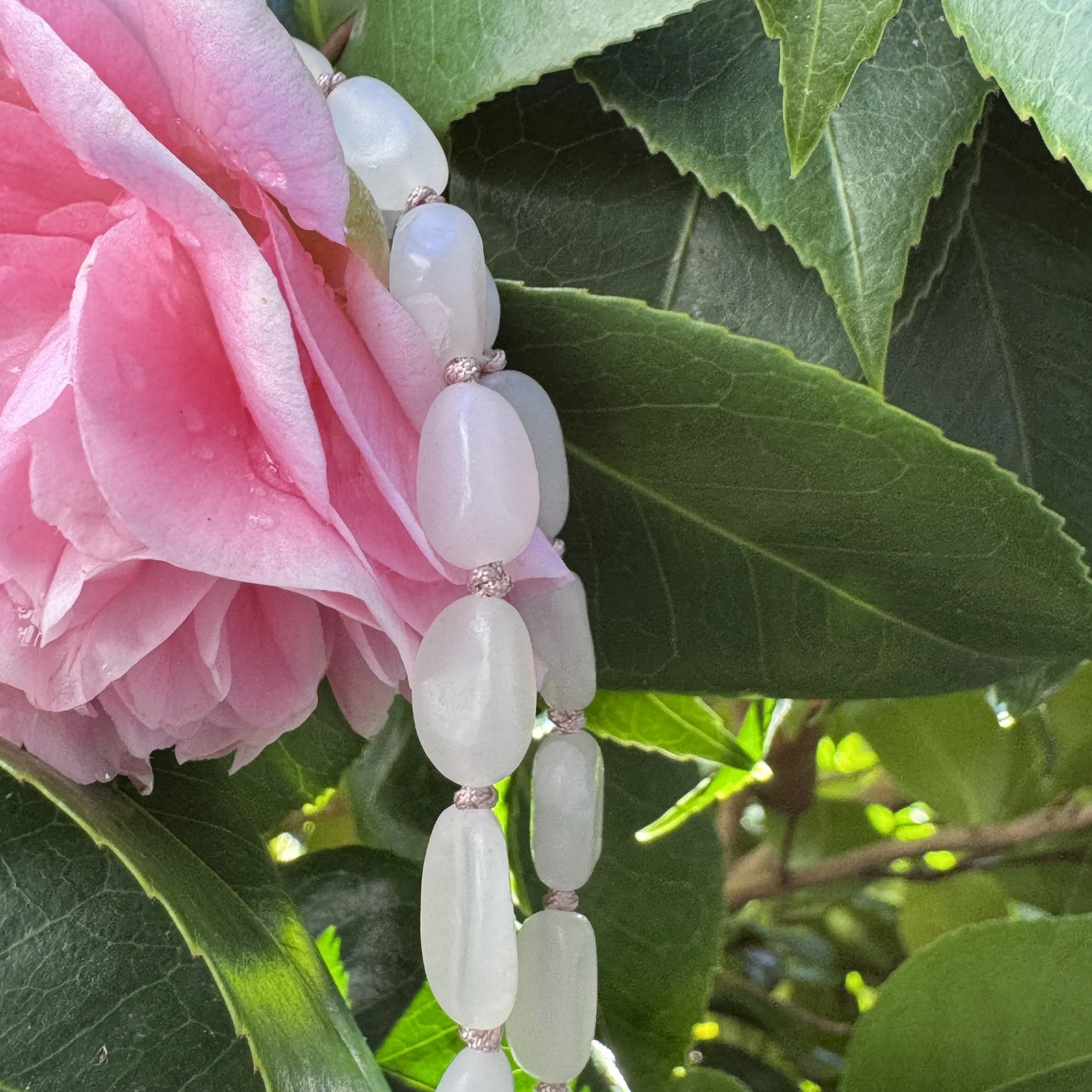 jademastervancouver.com