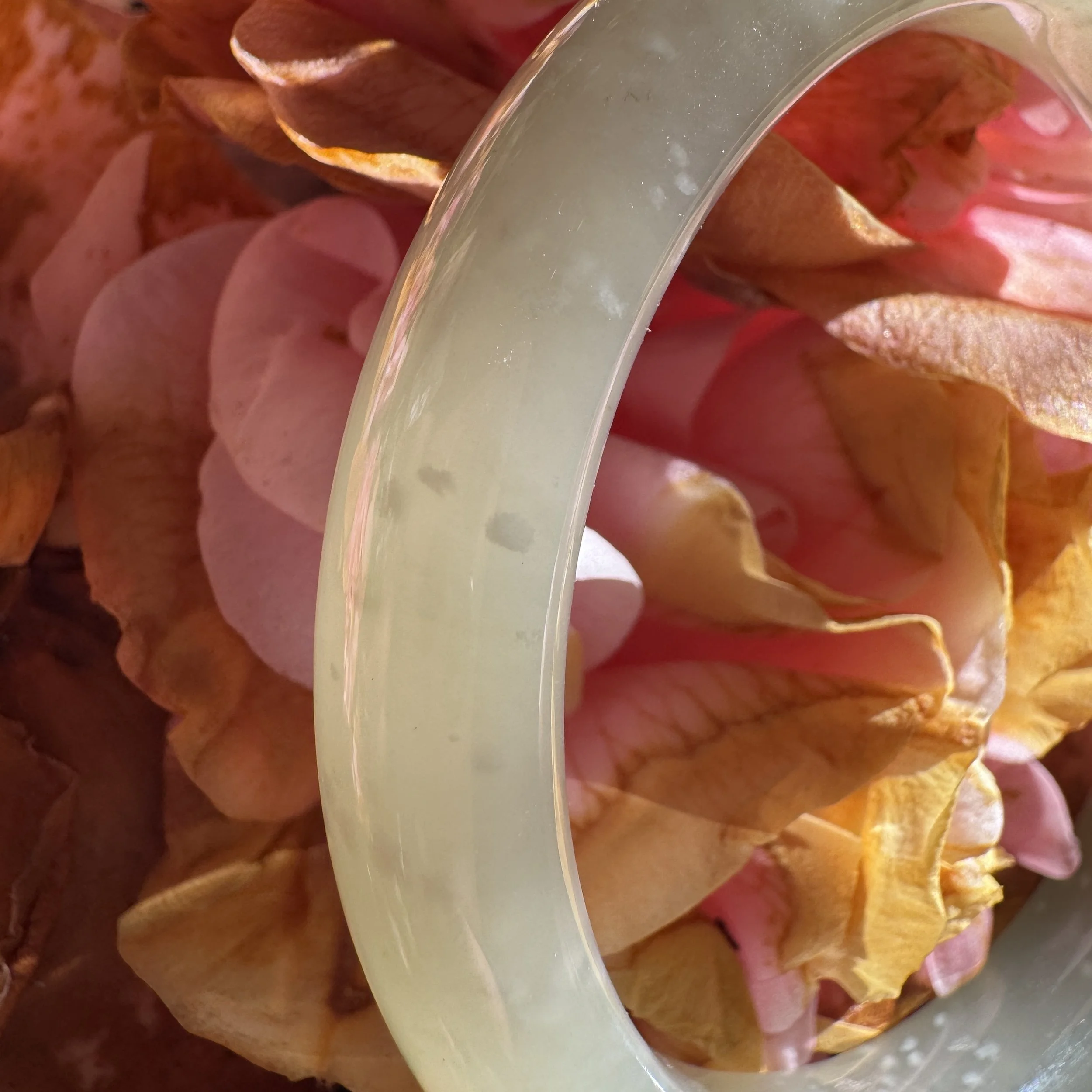 jademastervancouver.com