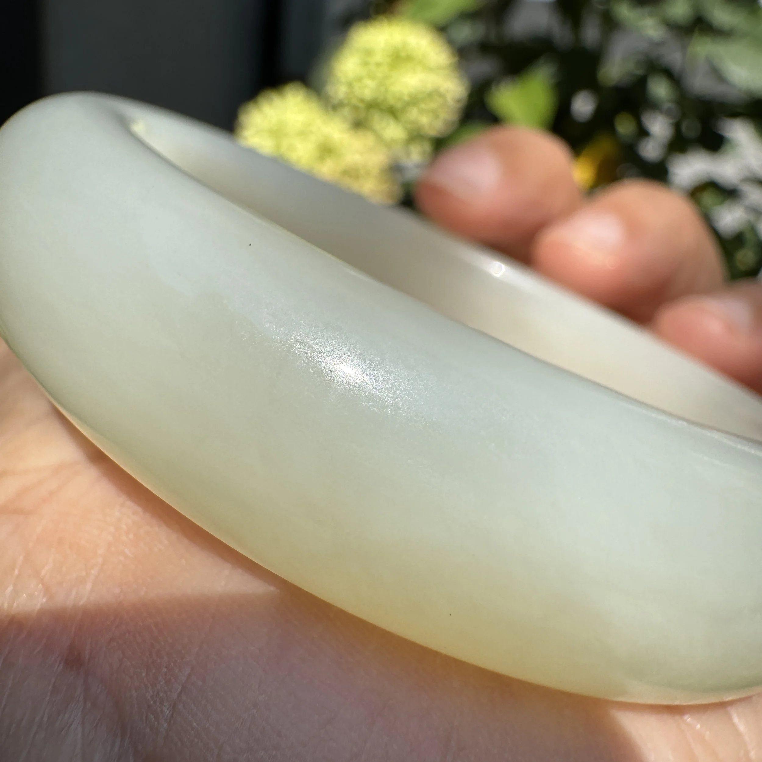 Xinjiang Hetian jade-jademastervancouver.com
