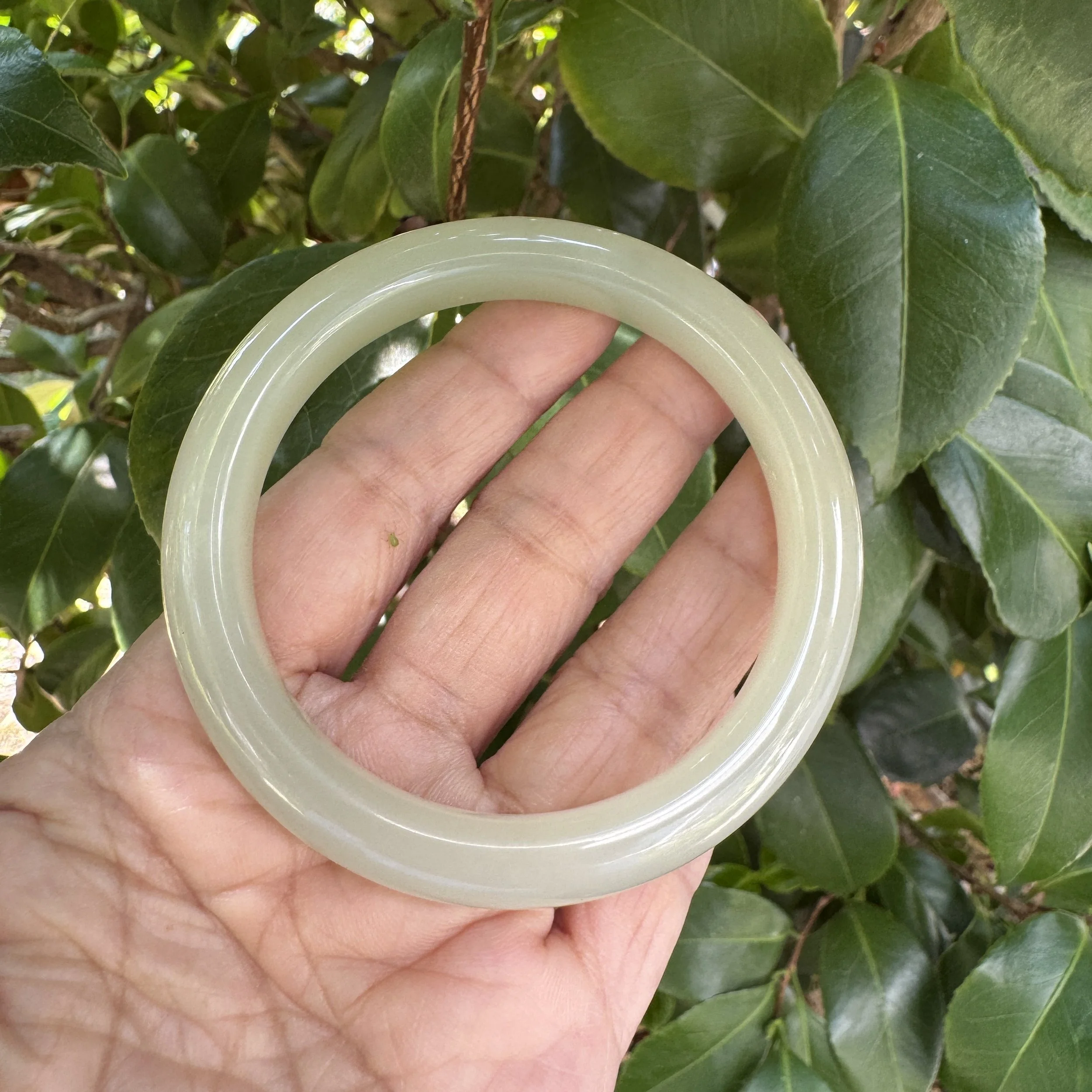 Xinjiang Hetian jade-jademastervancouver.com