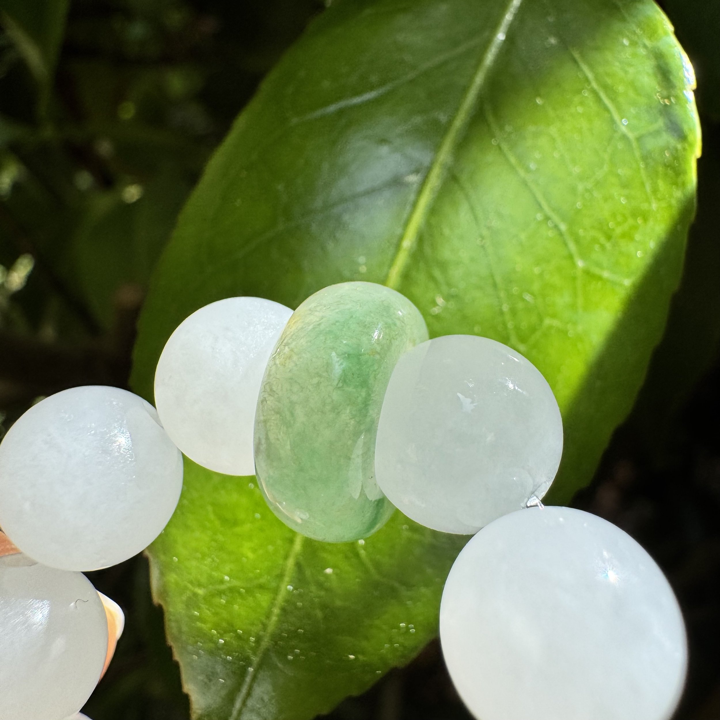 jademastervancouver.com