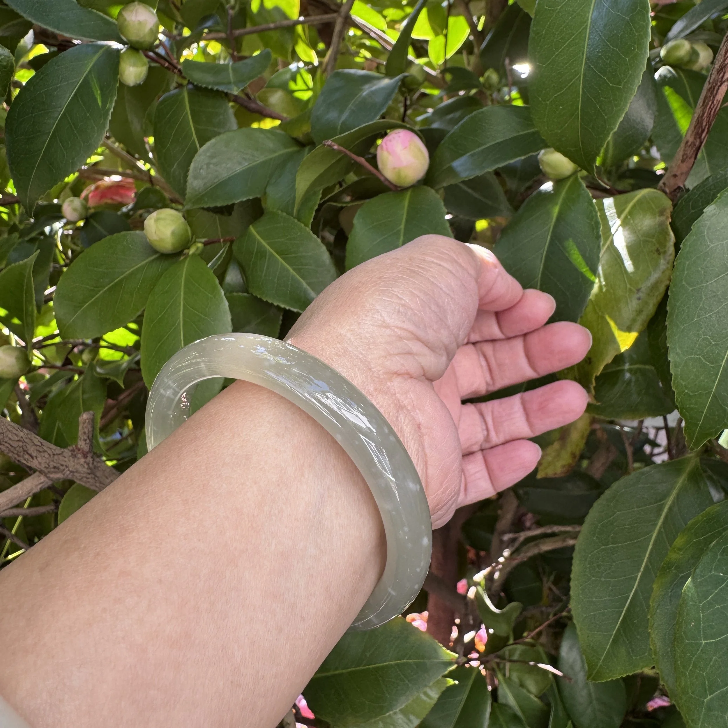 jademastervancouver.com