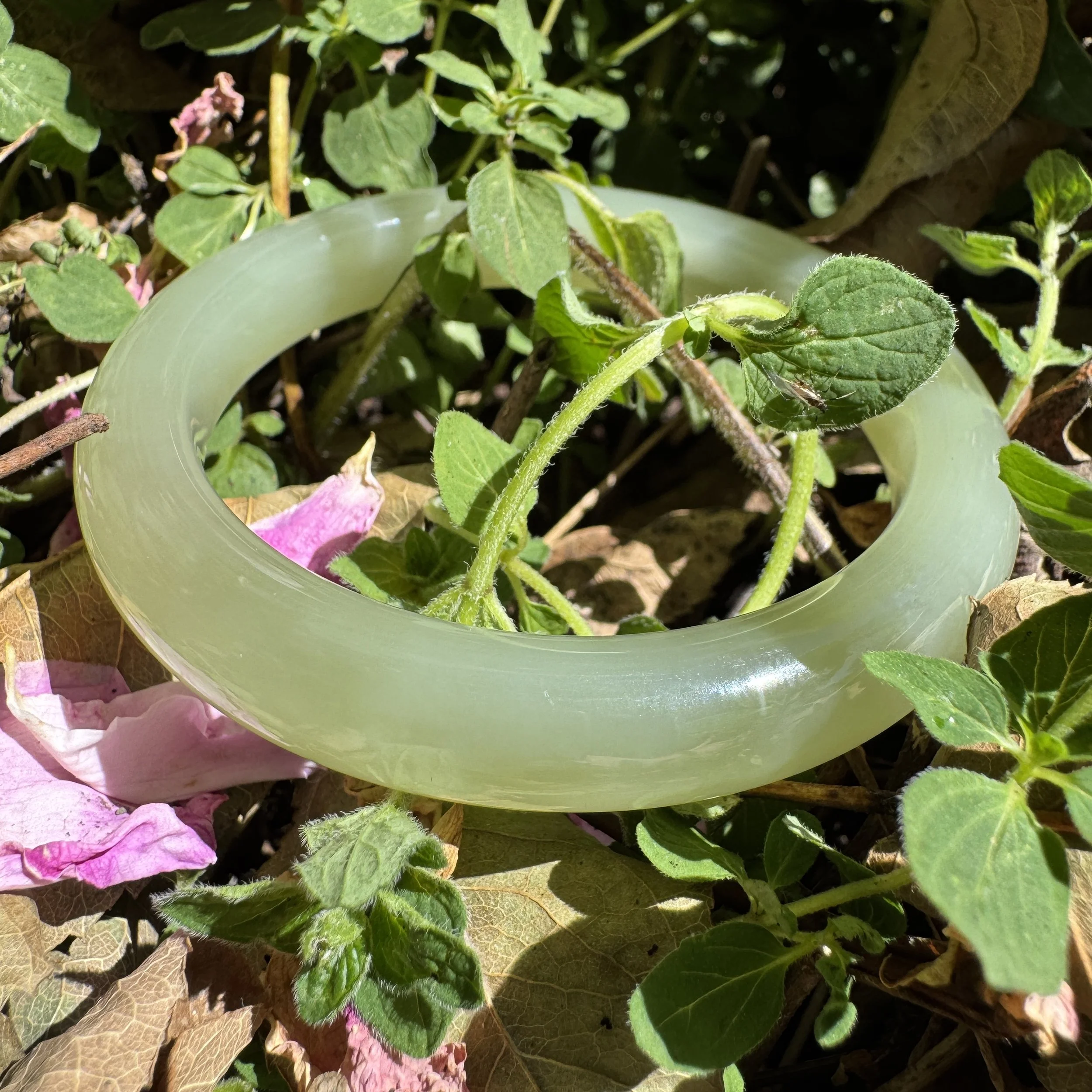 icy jade- jademastervancouver.com