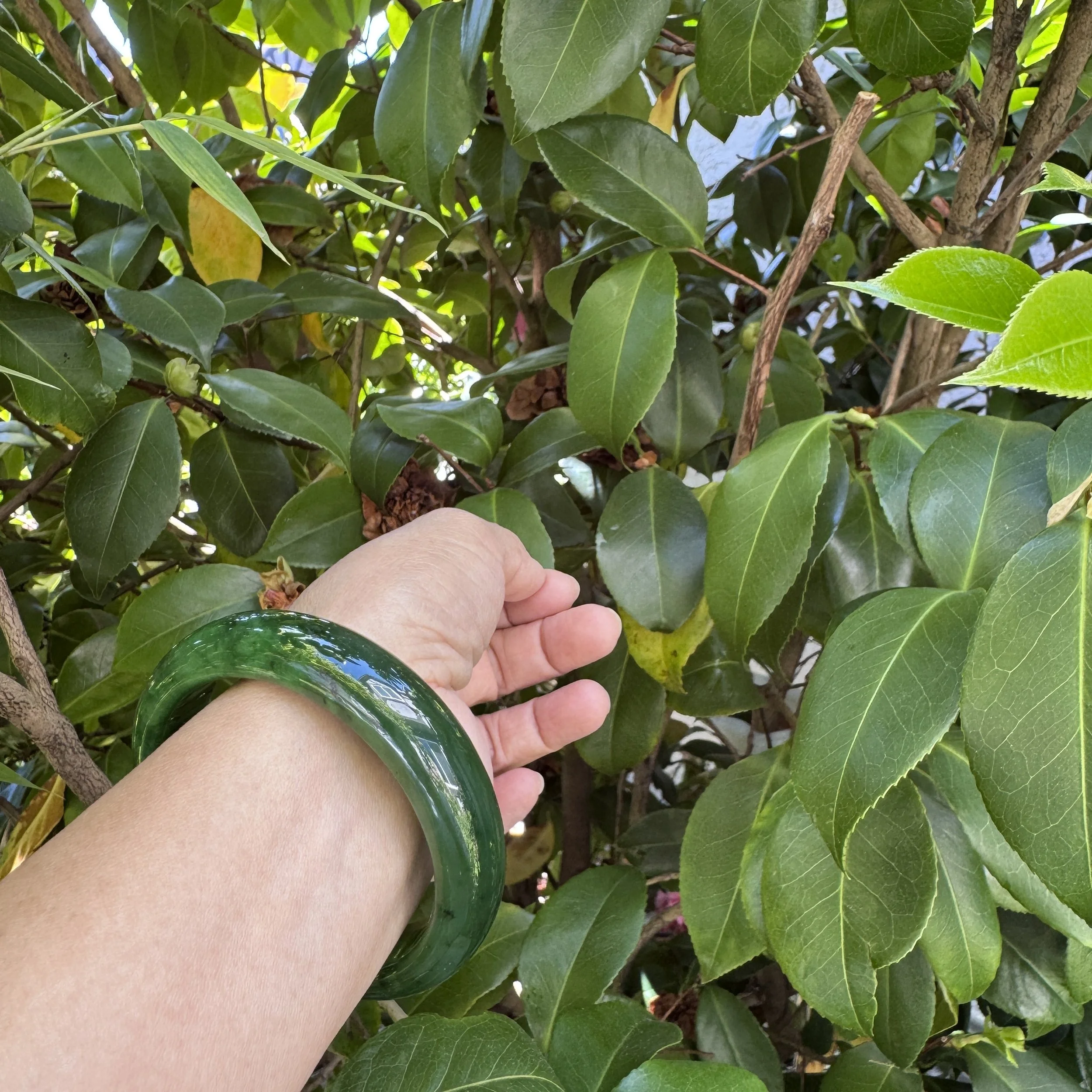 jademastervancouver.com