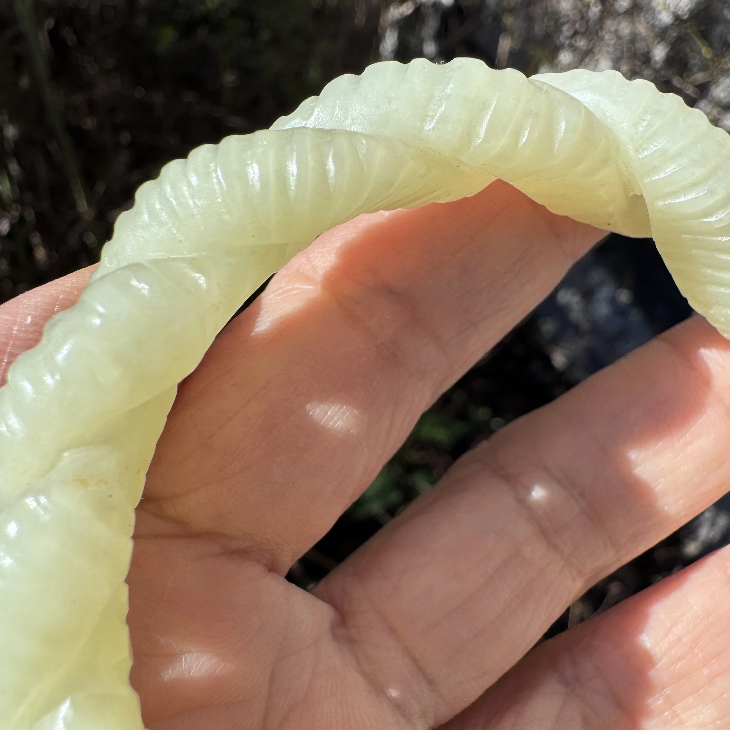 jademastervancouver.com