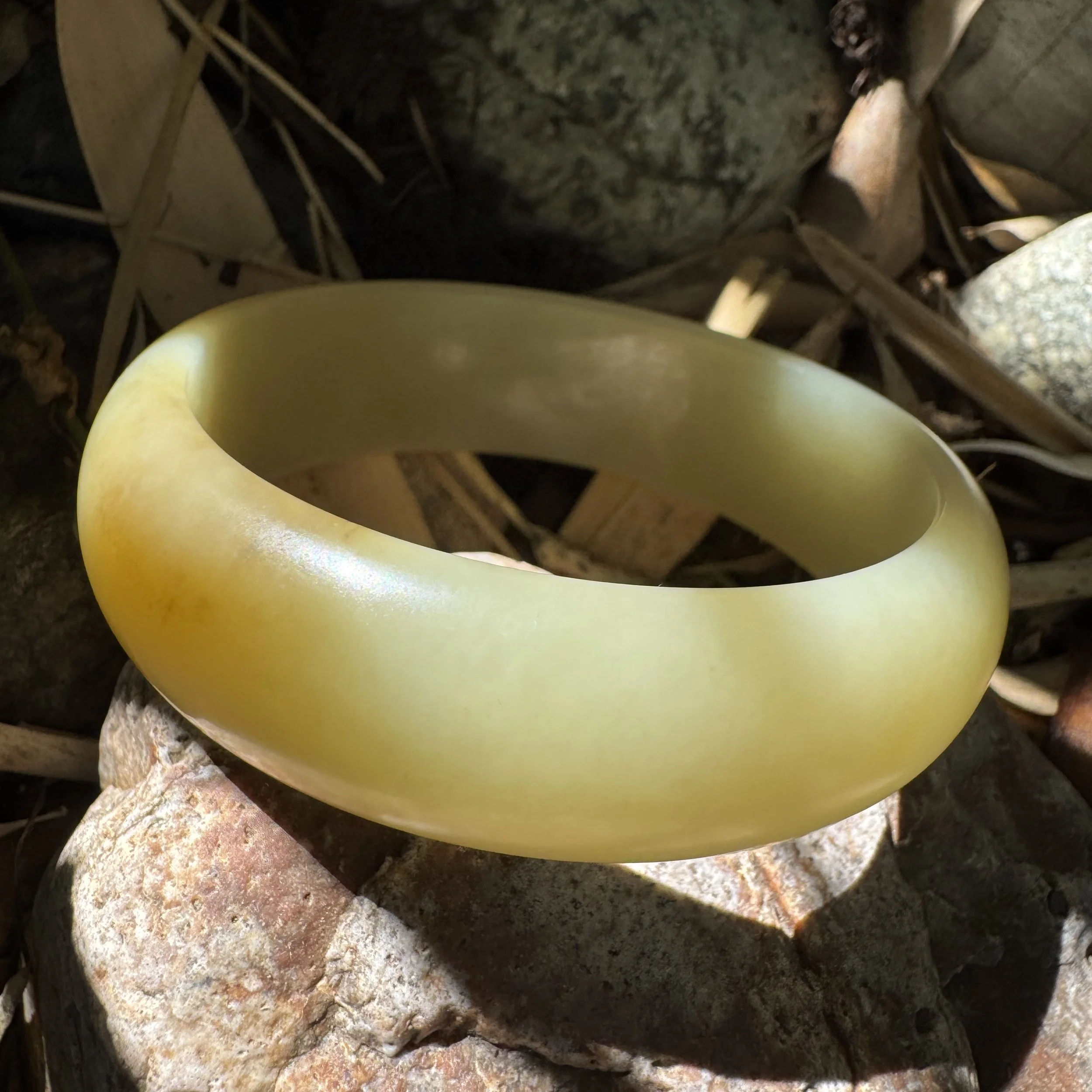 IMG_0460.jpeg