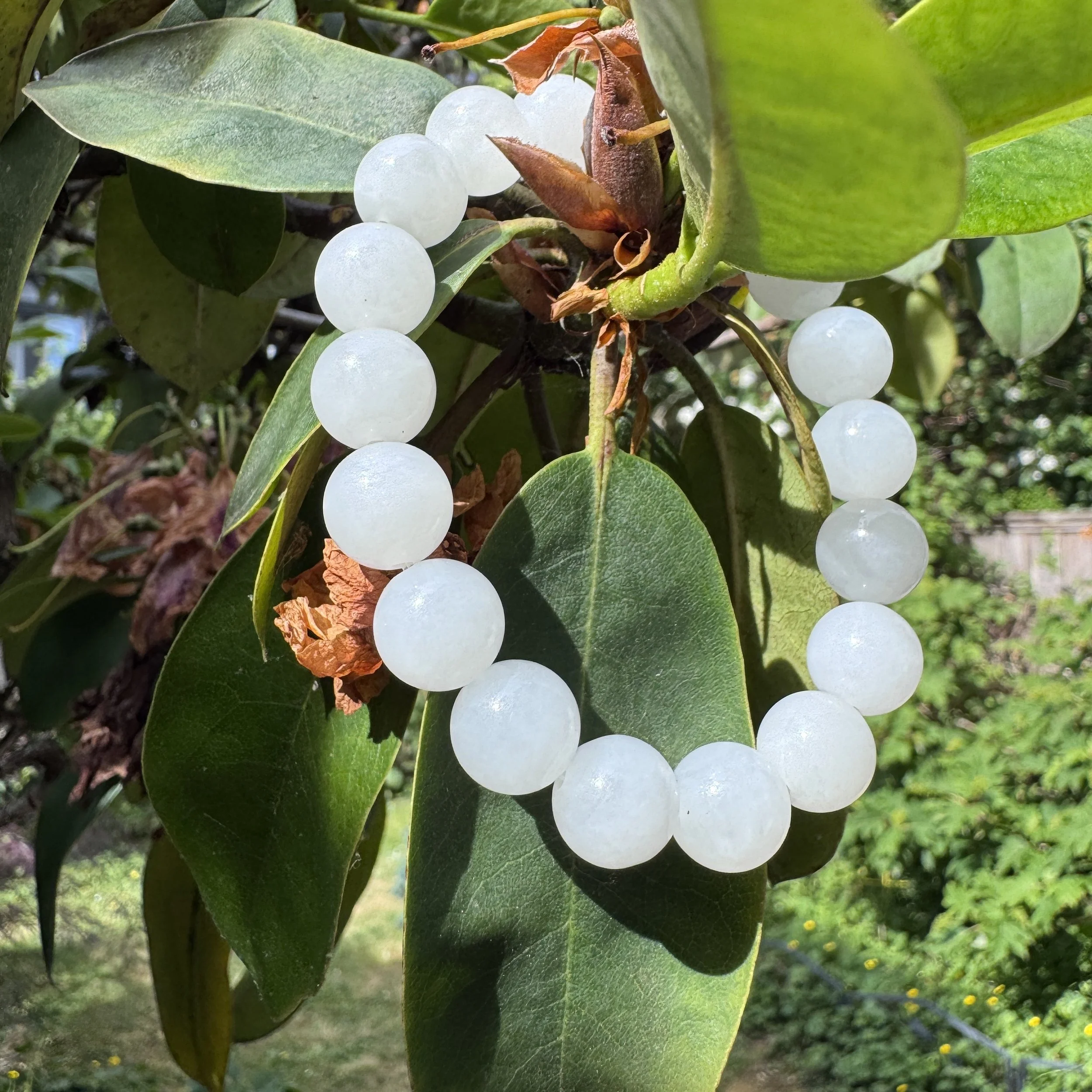 mutton white fat jade-jademastervancouver.com