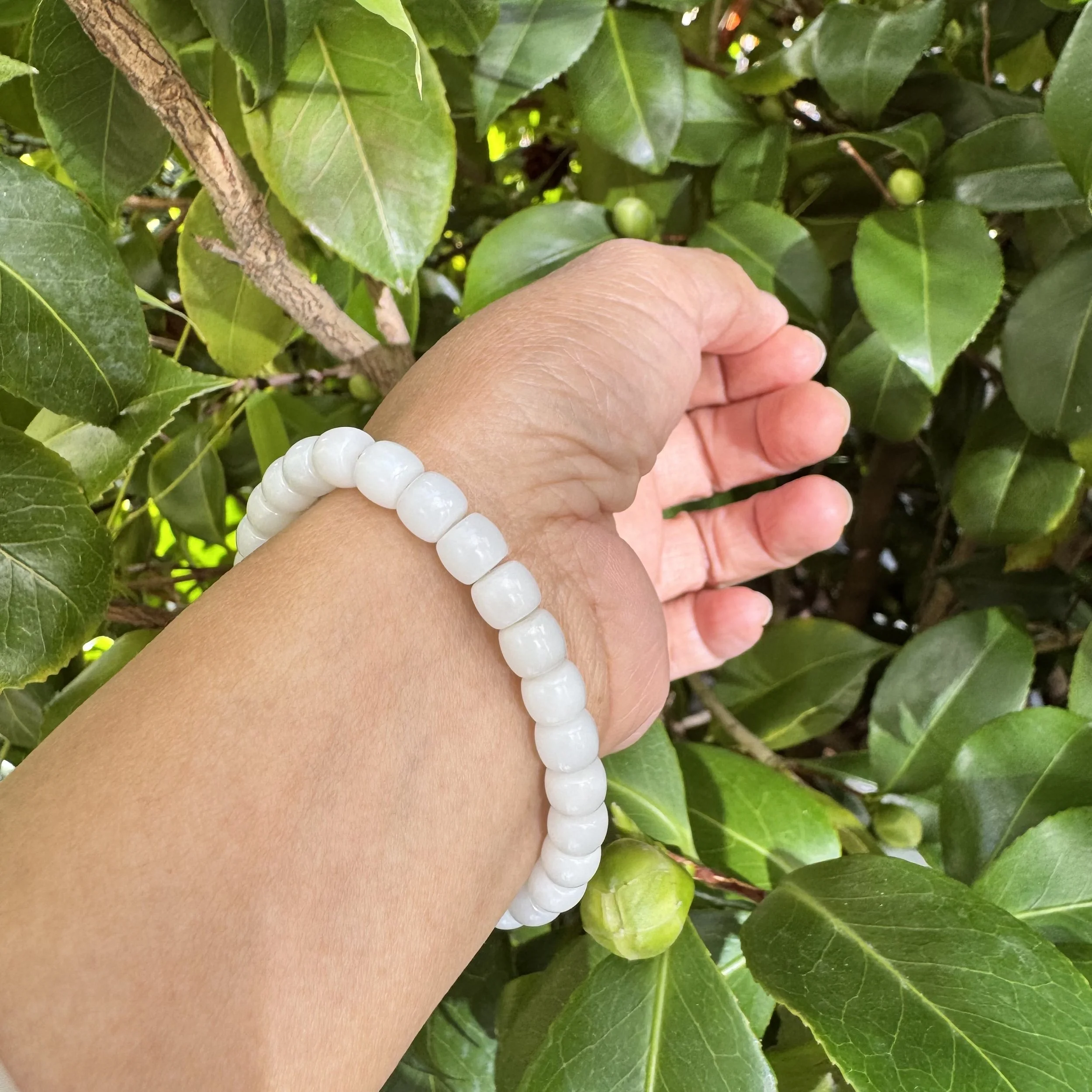 jademastervancouver.com