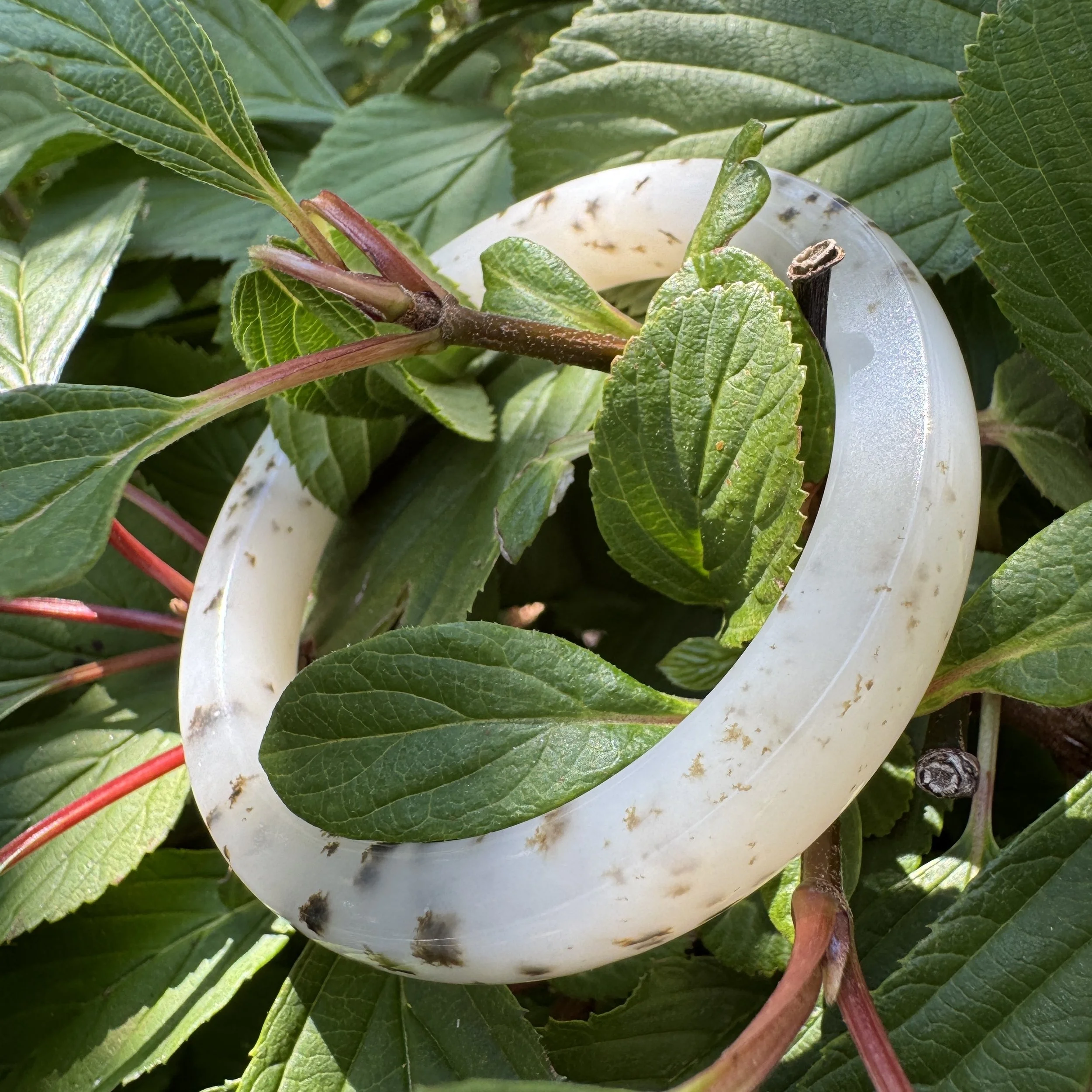 mutton fat jade-jademastervancouver.com