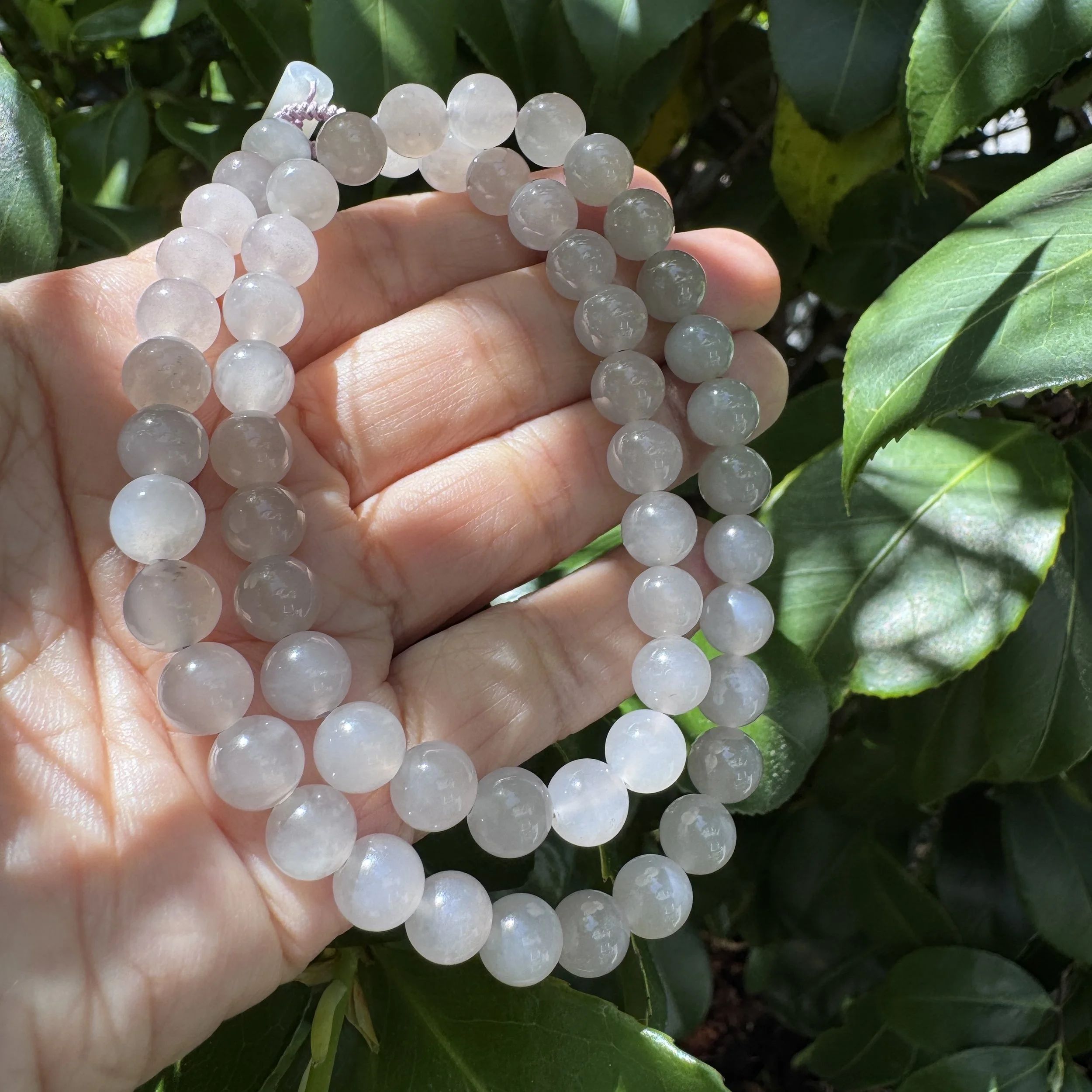 jademastervancouver.com