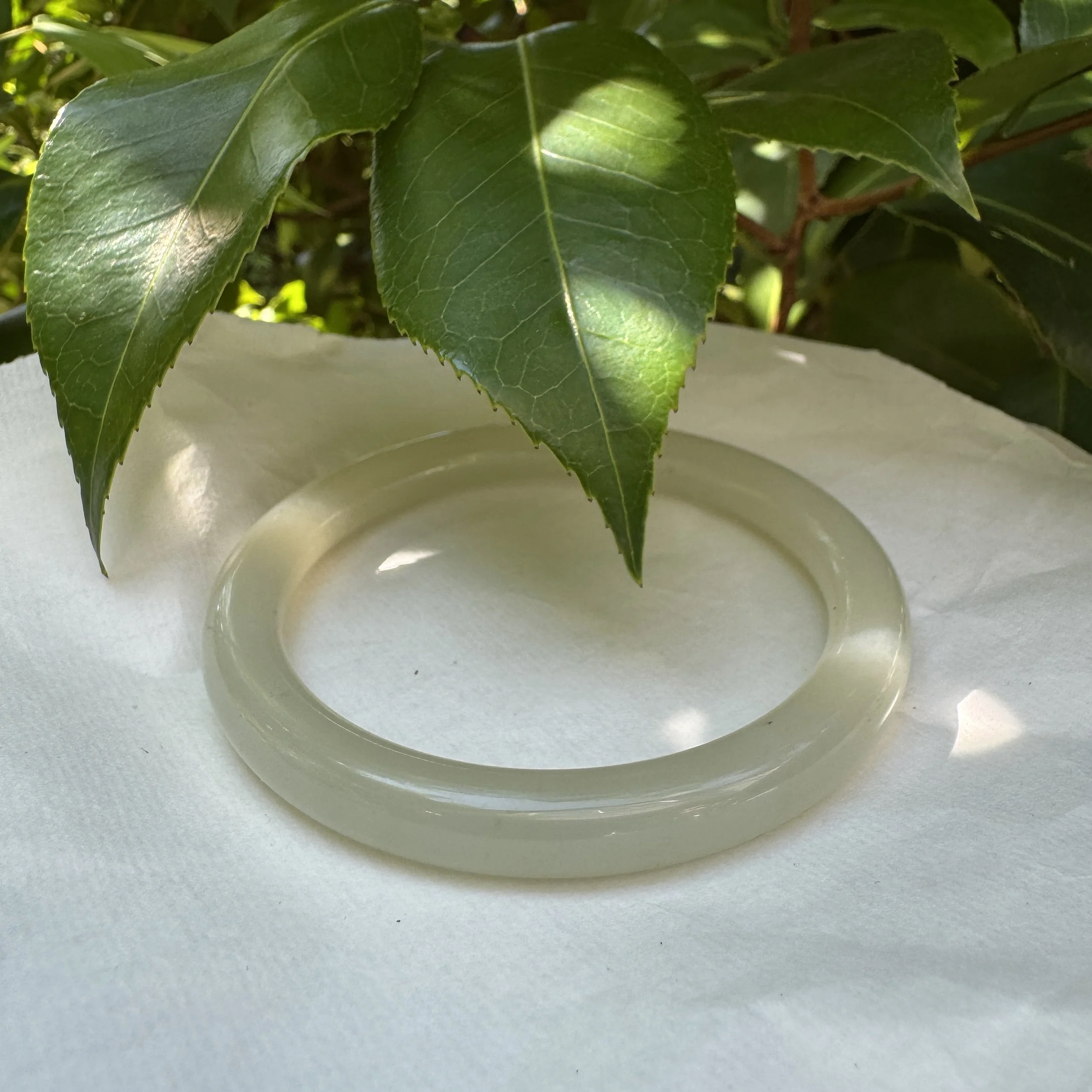 Xinjiang Hetian jade-jademastervancouver.com