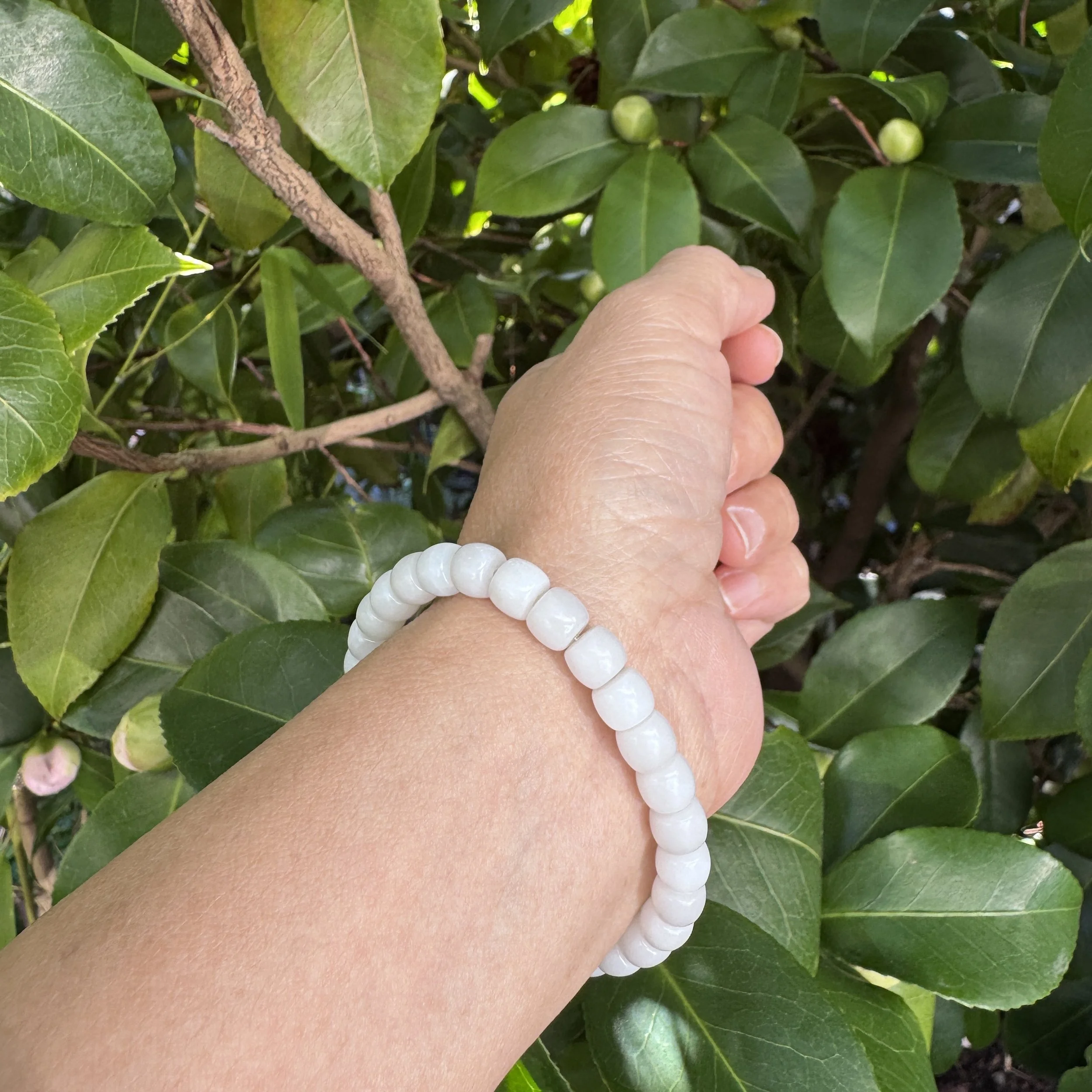 jademastervancouver.com