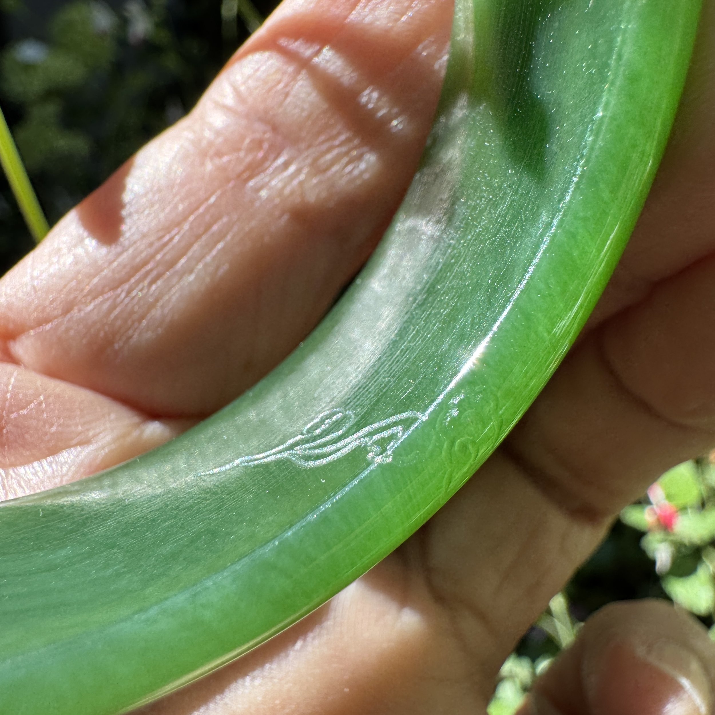 Hetian green nephrite jade-jademastervancouver.com