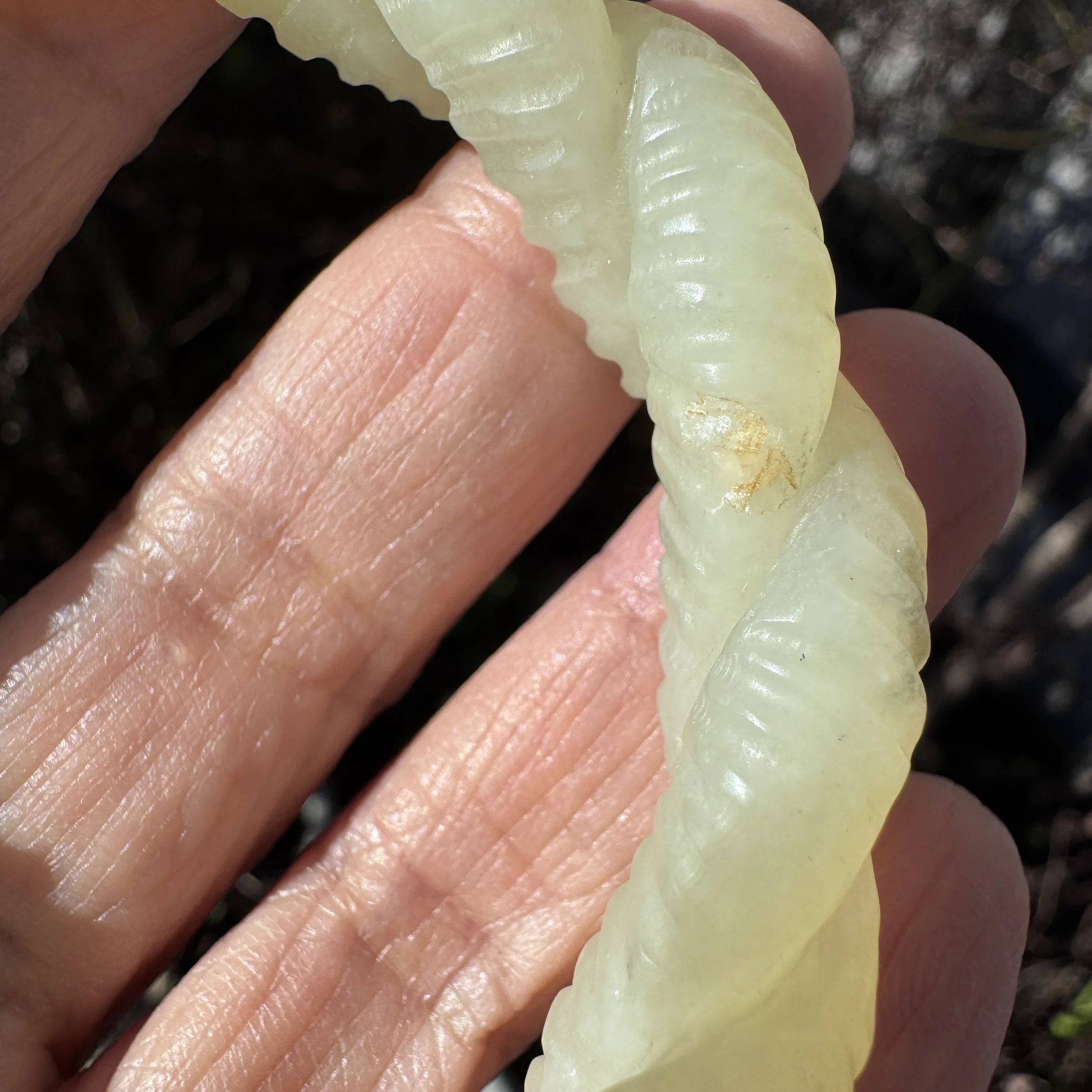 jademastervancouver.com