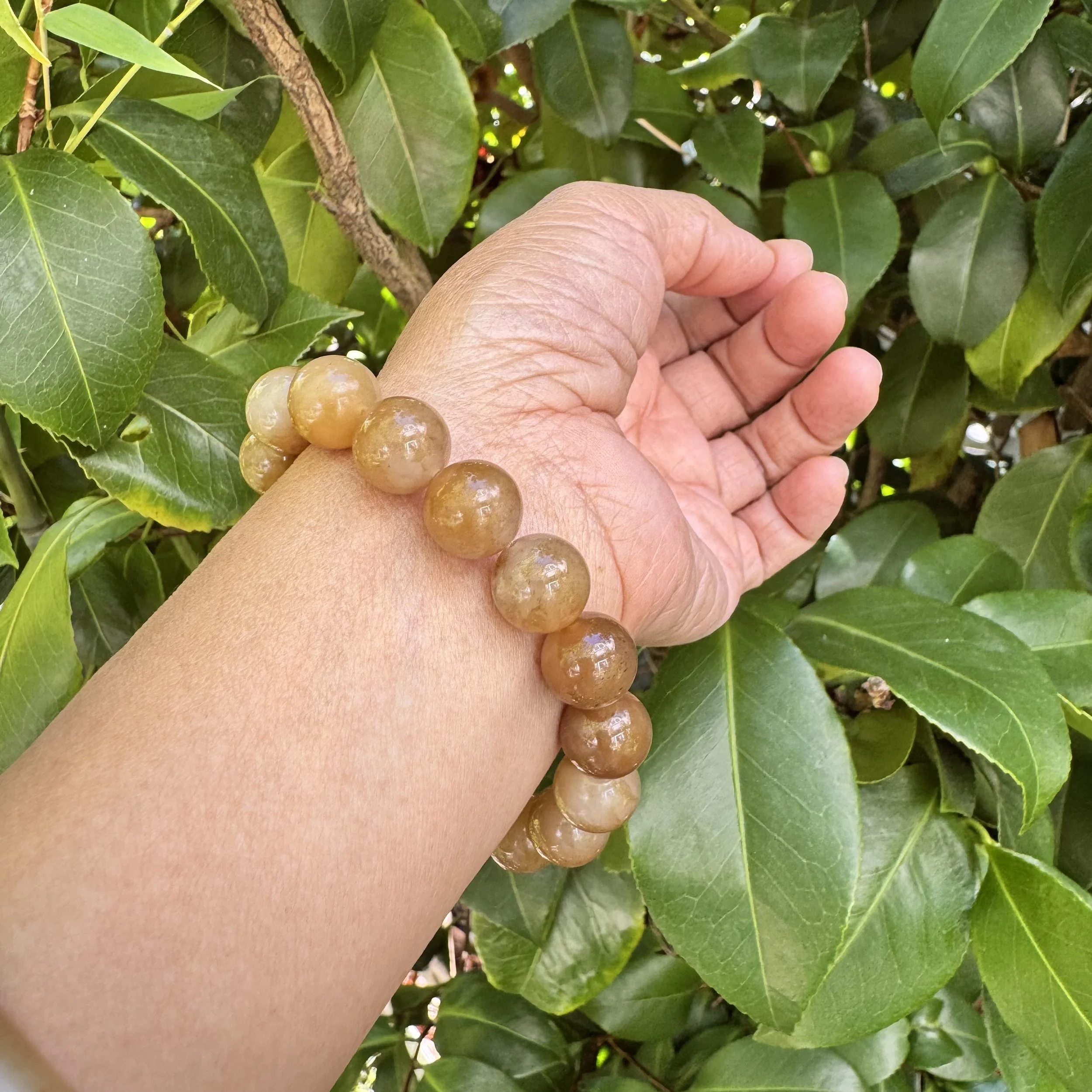 jademastervancouver.com