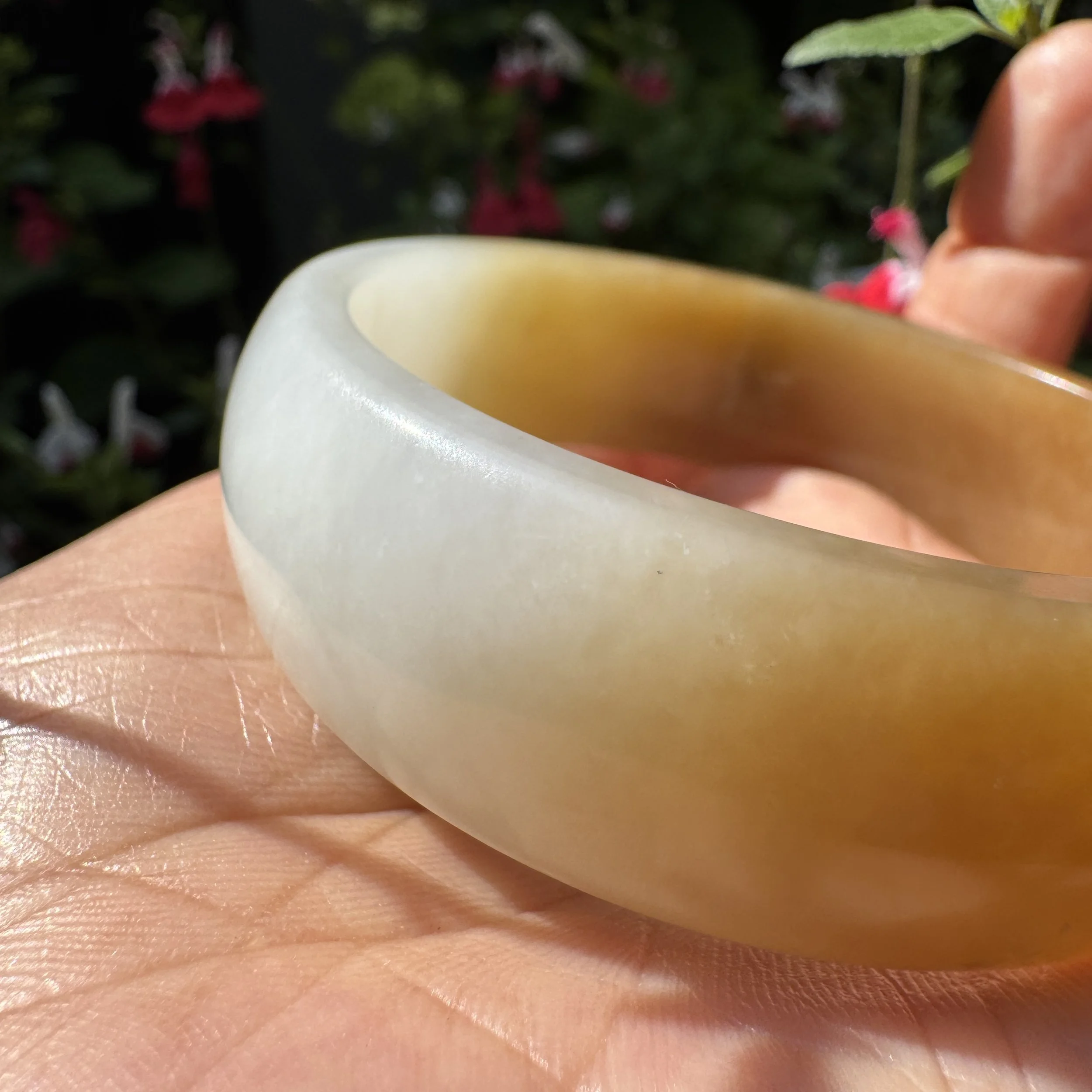 Sugar jade-jademastervancouver.com