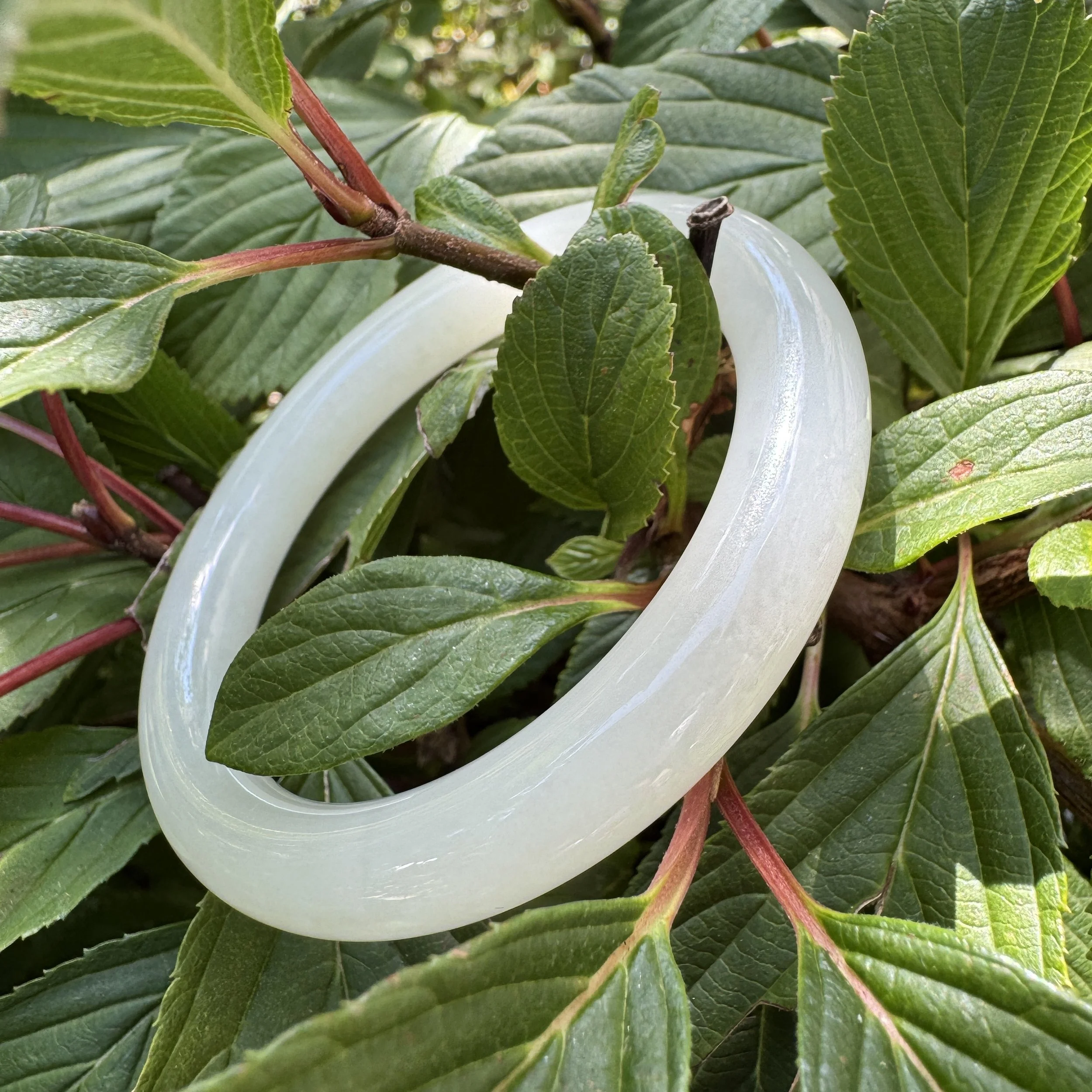 icy jade- jademastervancouver.com