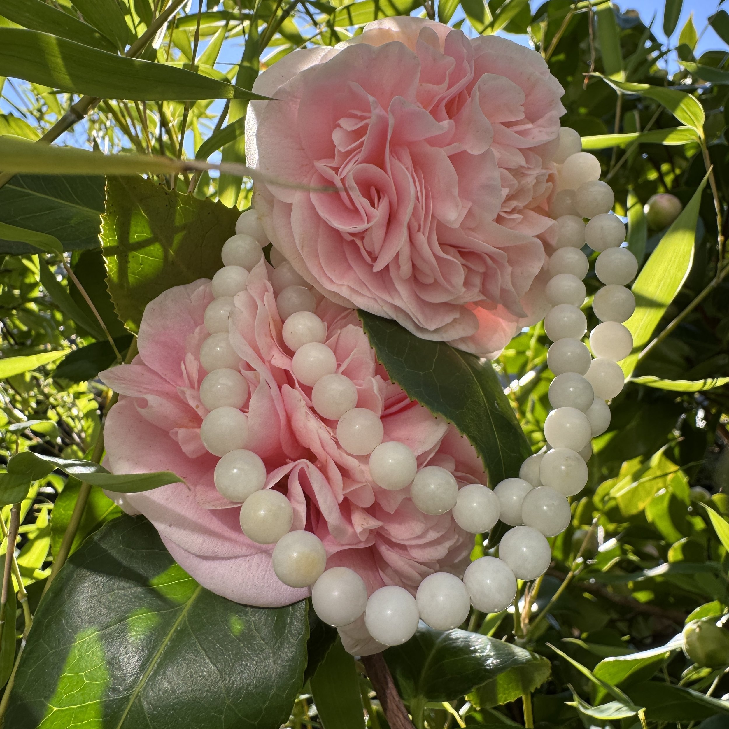 jademastervancouver.com