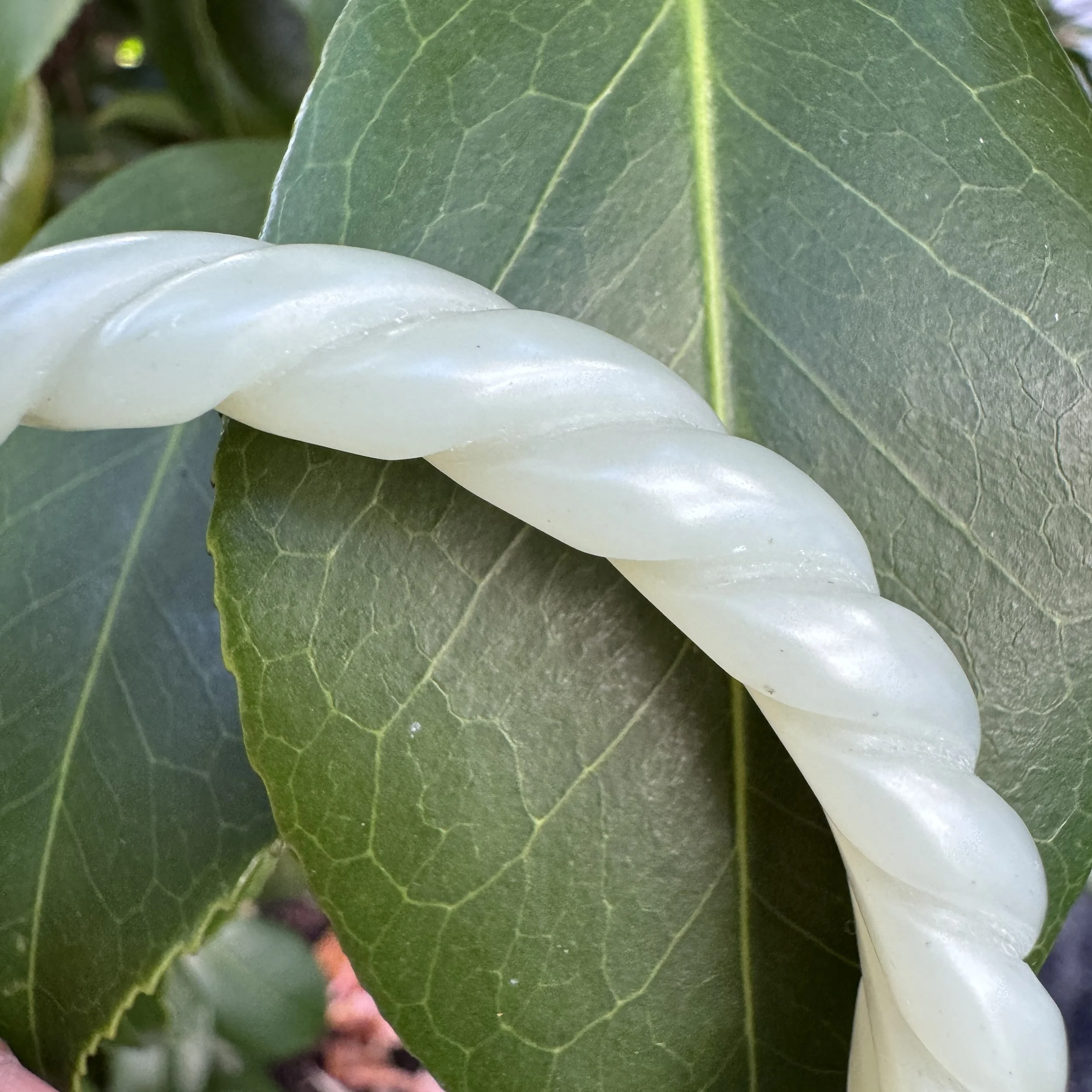 jademastervancouver.com