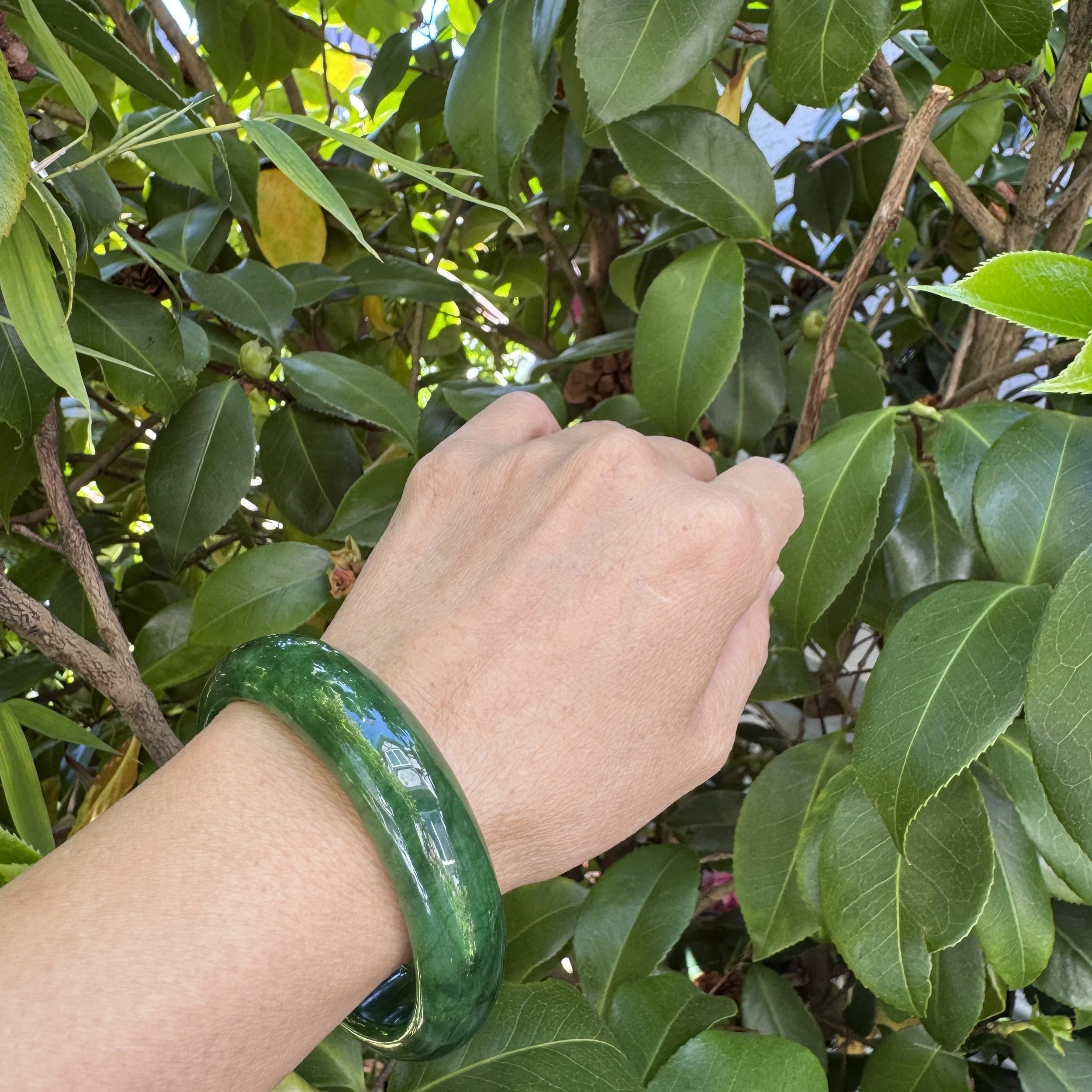 jademastervancouver.com