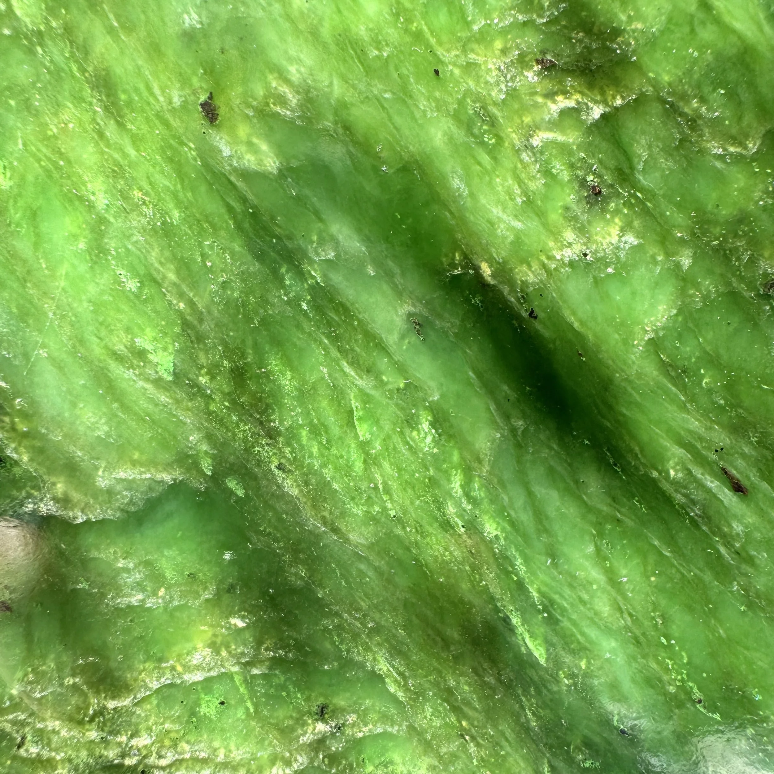 jademastervancouver.com