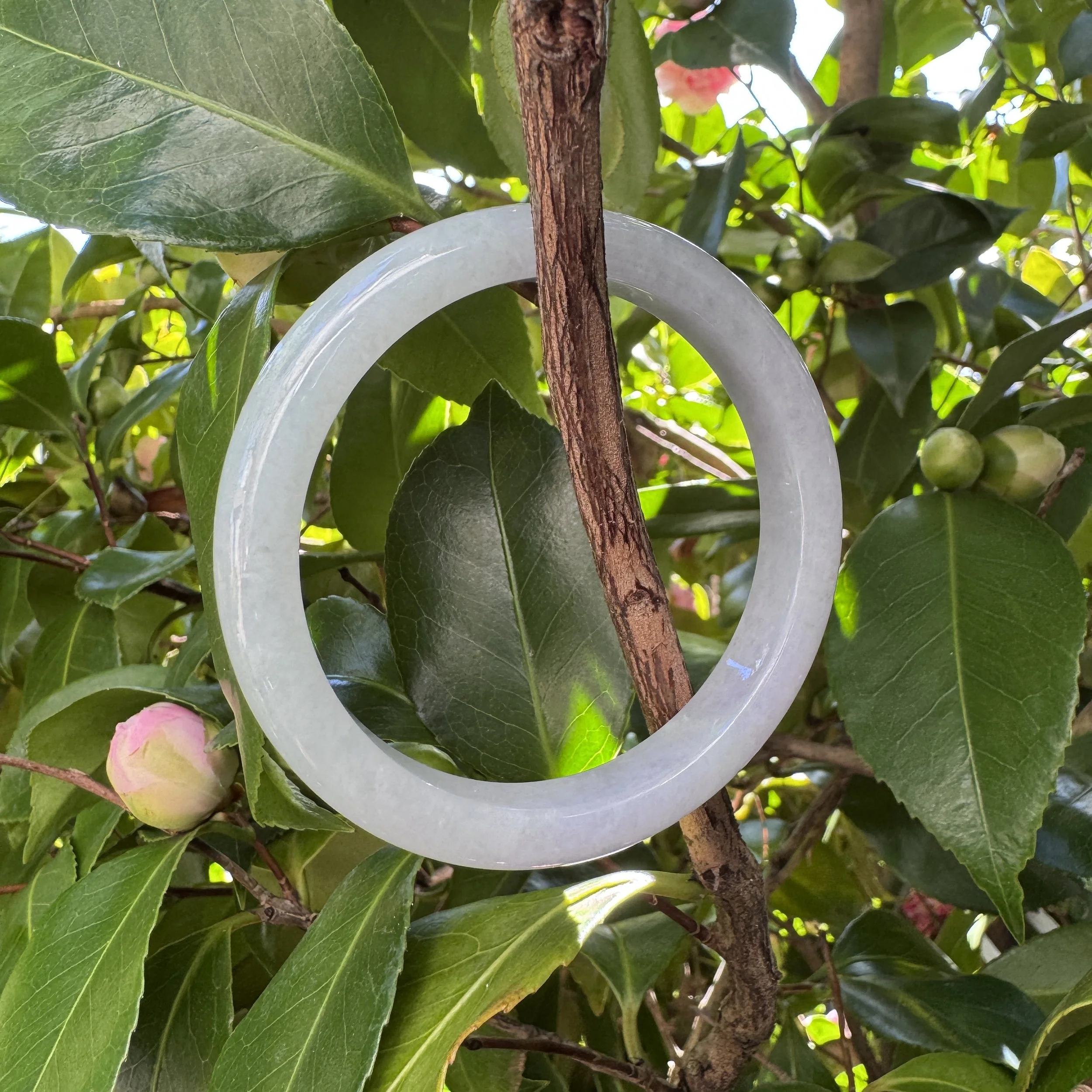 jademastervancouver.com