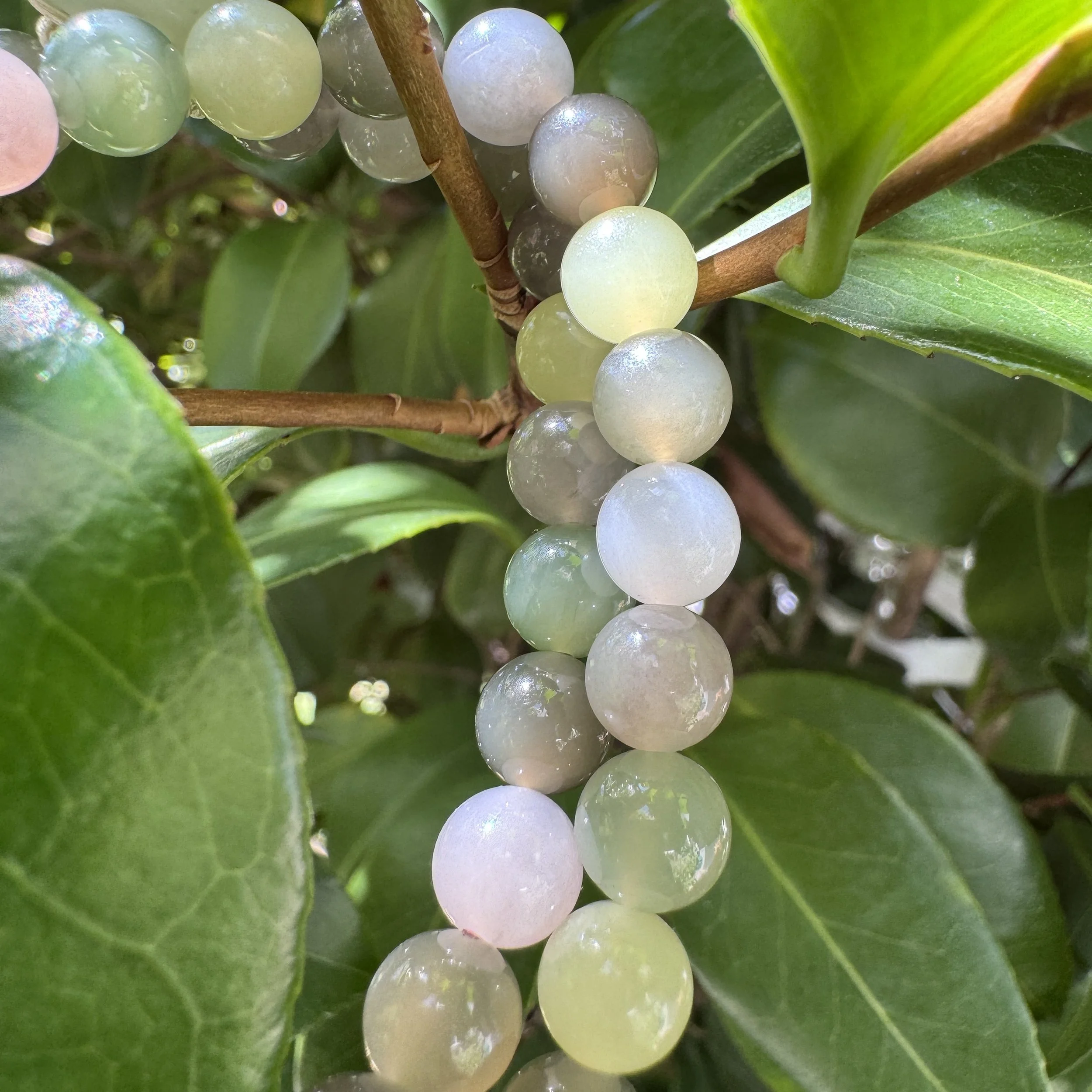 Hetian icy nephrite jade-jademastervancouver.com