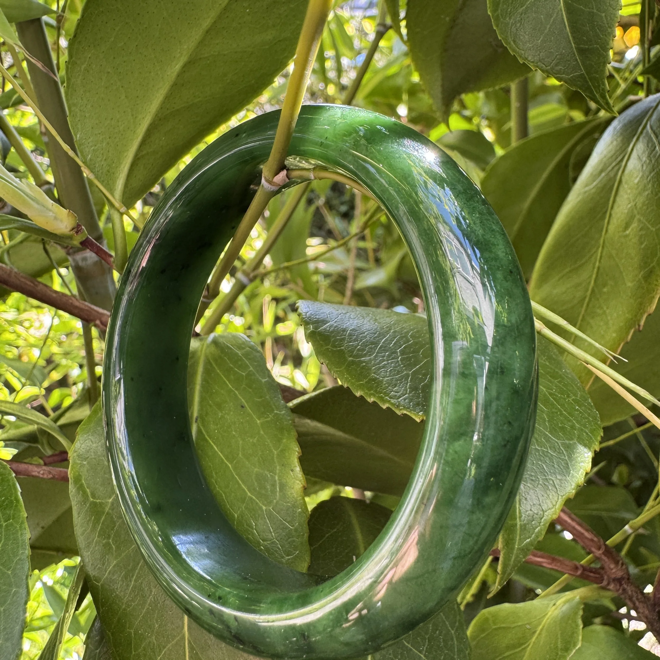 jademastervancouver.com