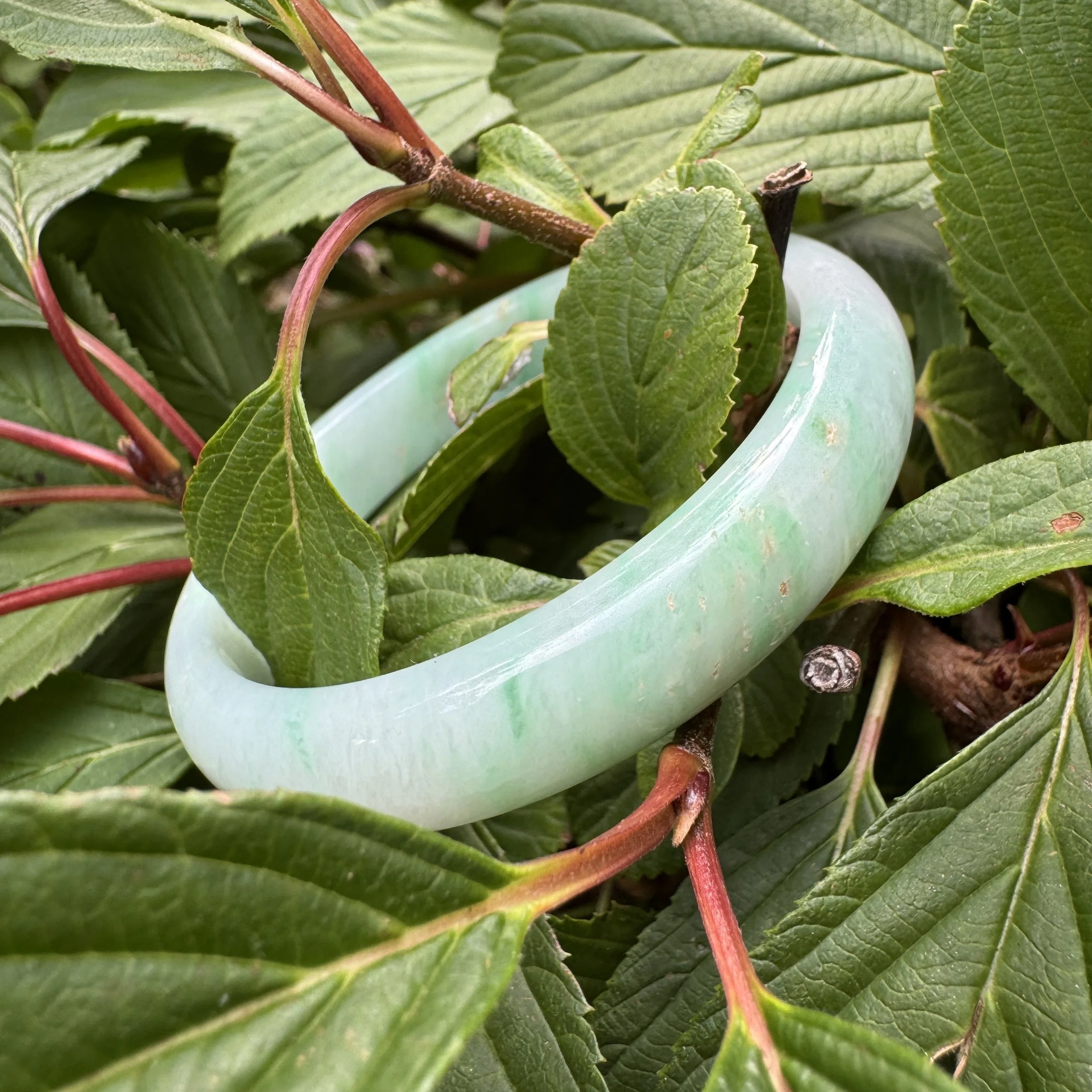 apple green jade-jademastervancouver.com