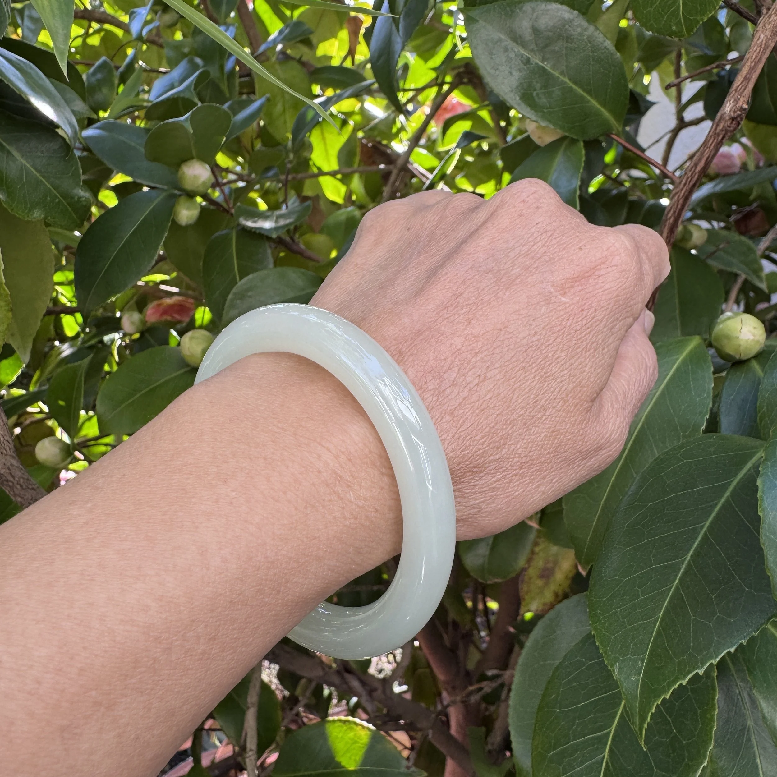 jademastervancouver.com