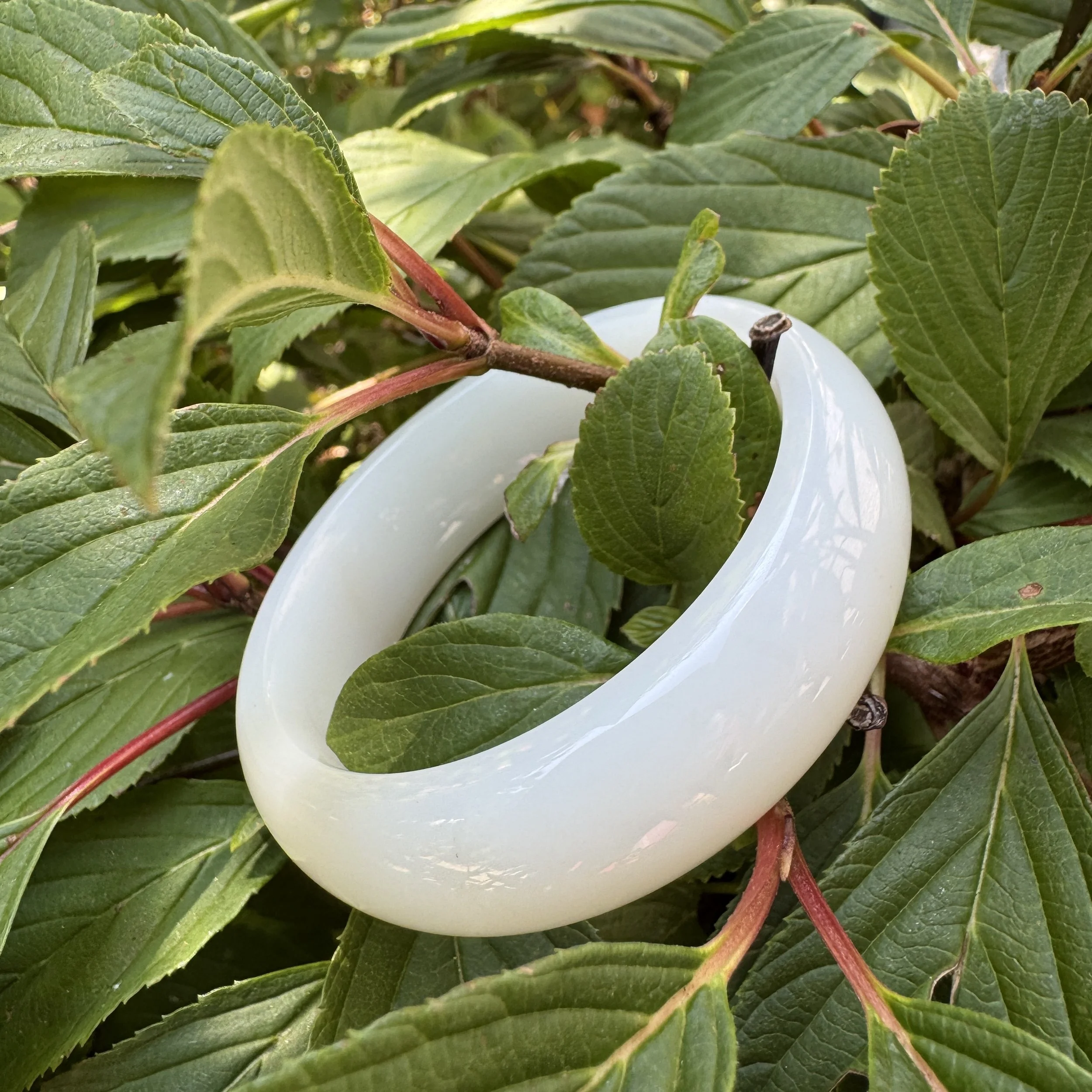 mutton white fat nephrite jade bangle-jademastetvancouver.com
