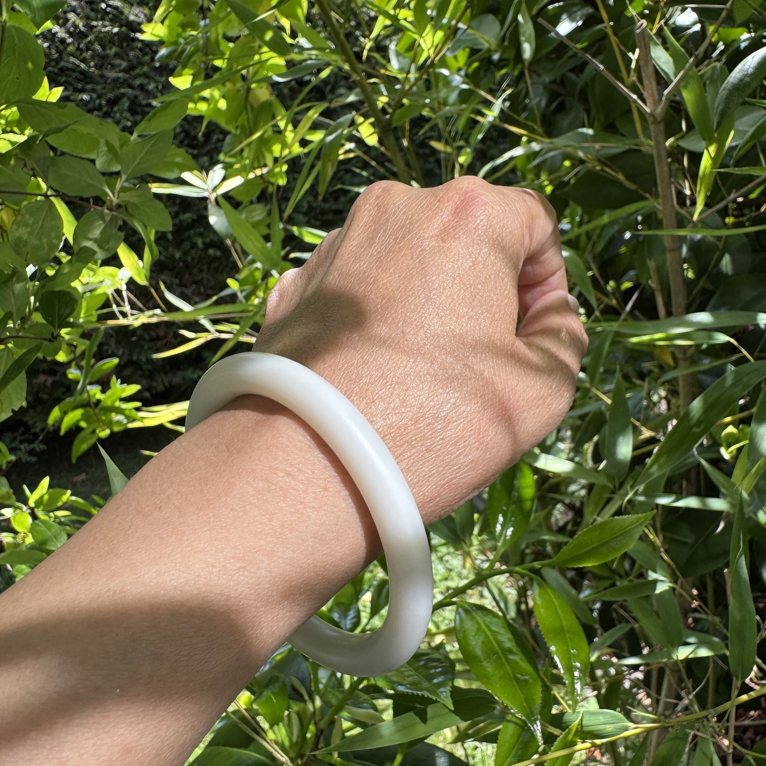 jademastervancouver.com